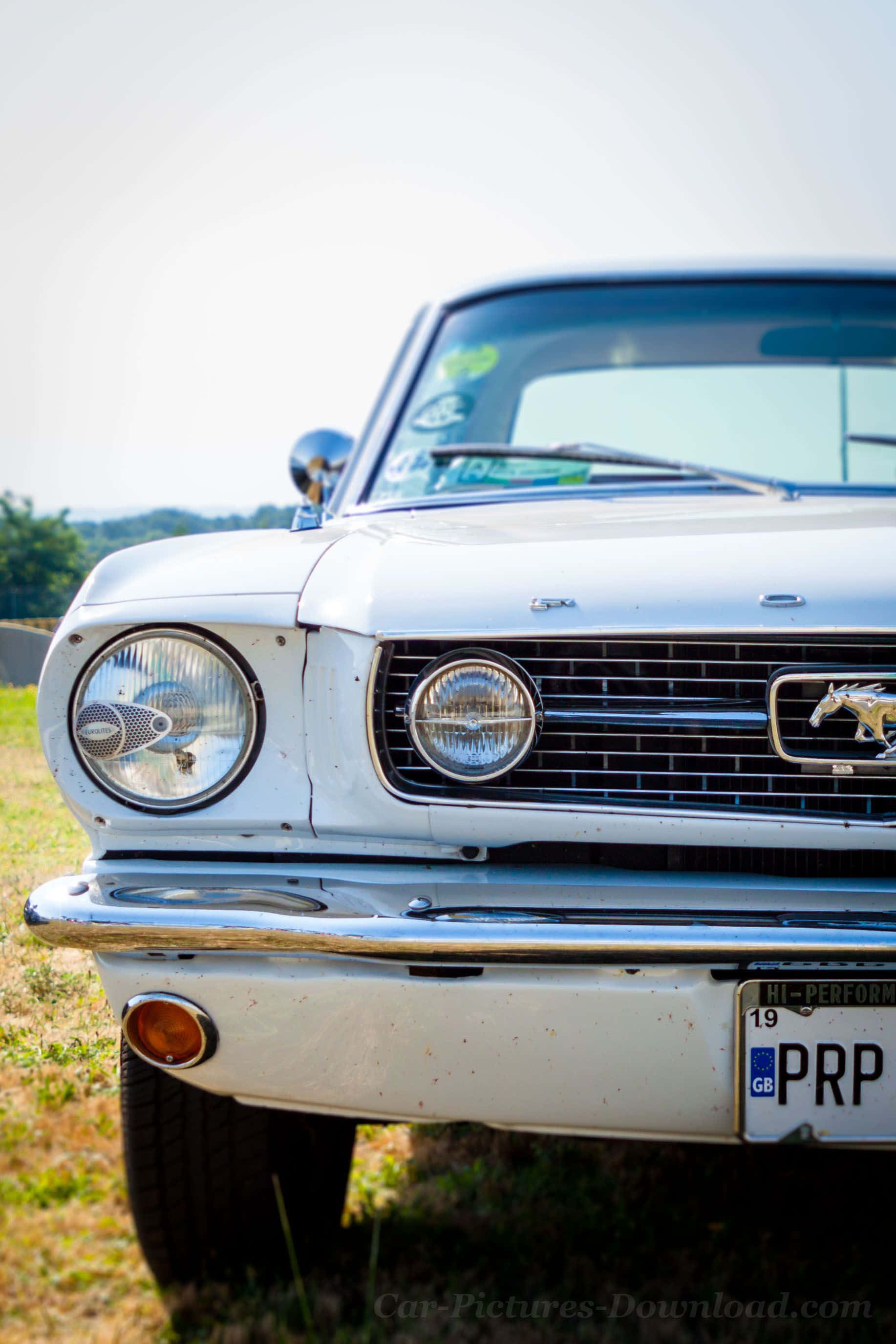 Ford Mustang, vintage, white, 2K Phone Wallpaper
