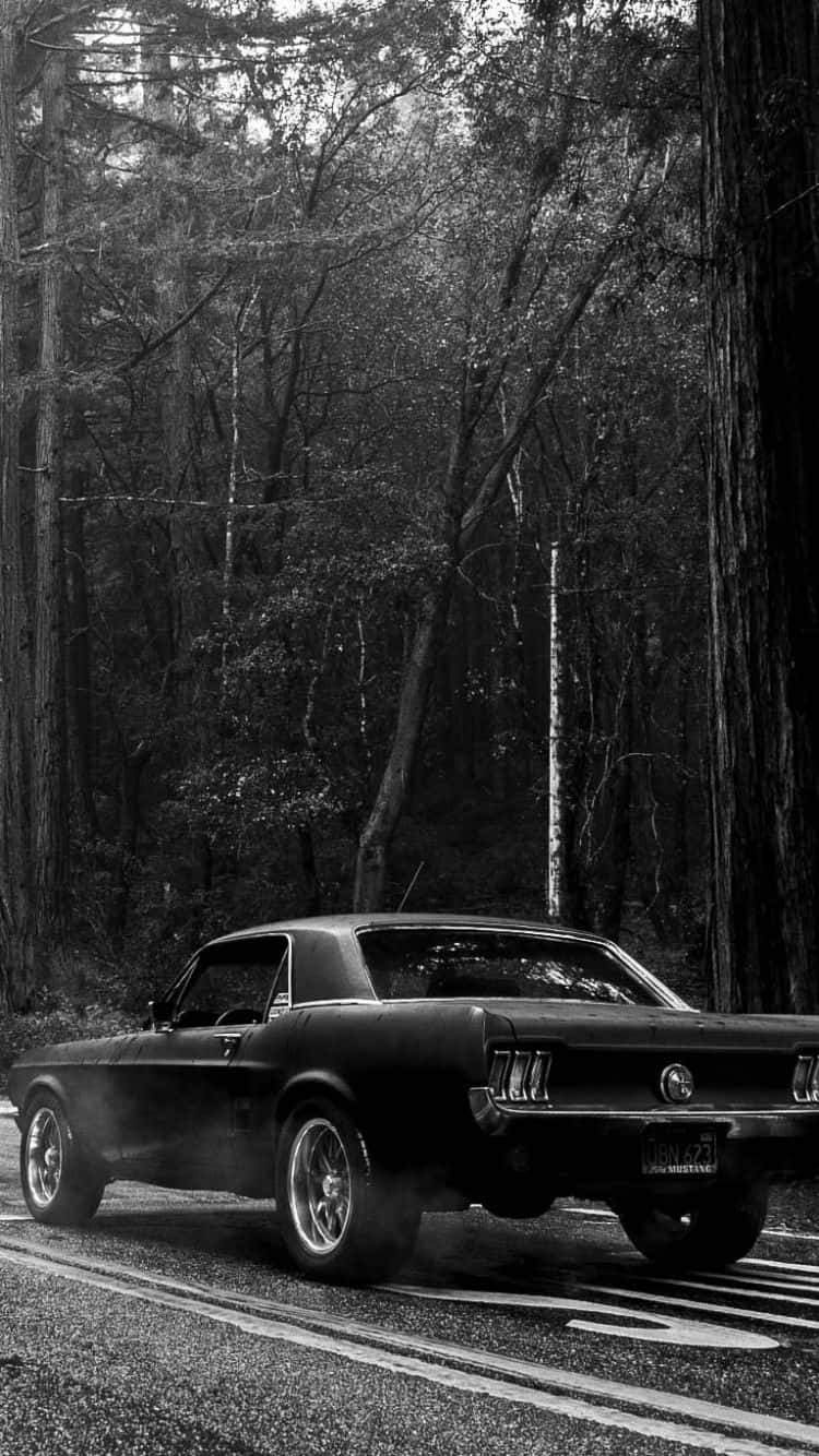 Ford Mustang, black, forest road, HD Phone Wallpaper