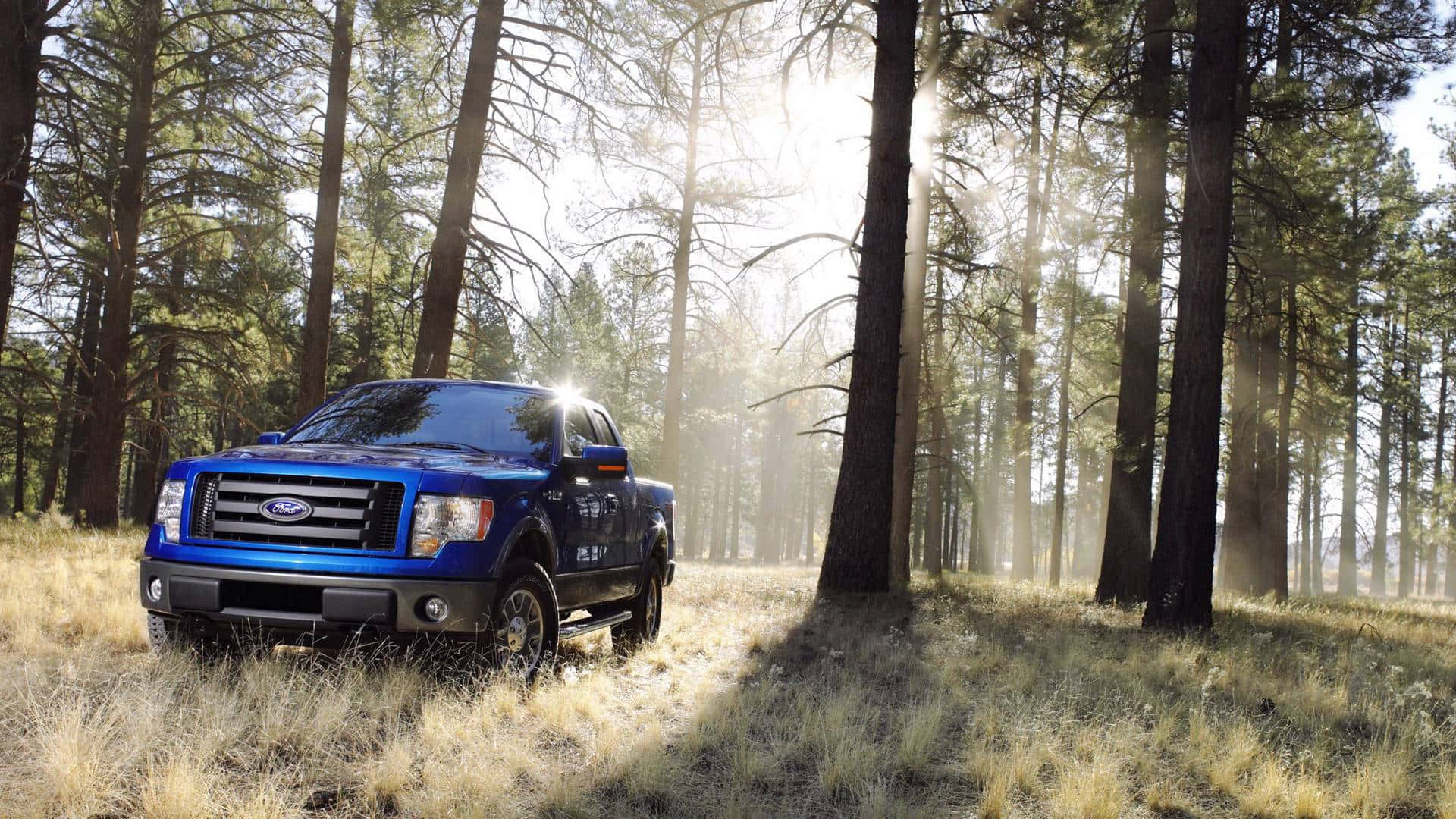 Ford F-150, 2009, blue, Full HD Desktop Wallpaper