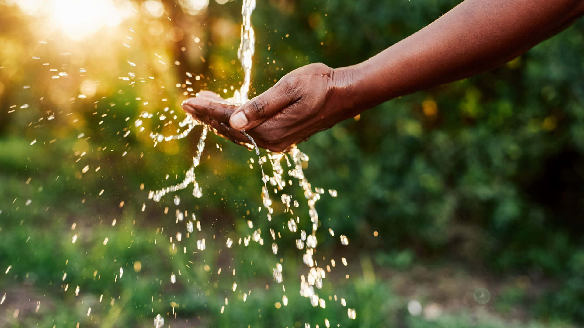 Forest Conservation, sunlight-dappled water, blurred green background, Full HD Desktop Wallpaper