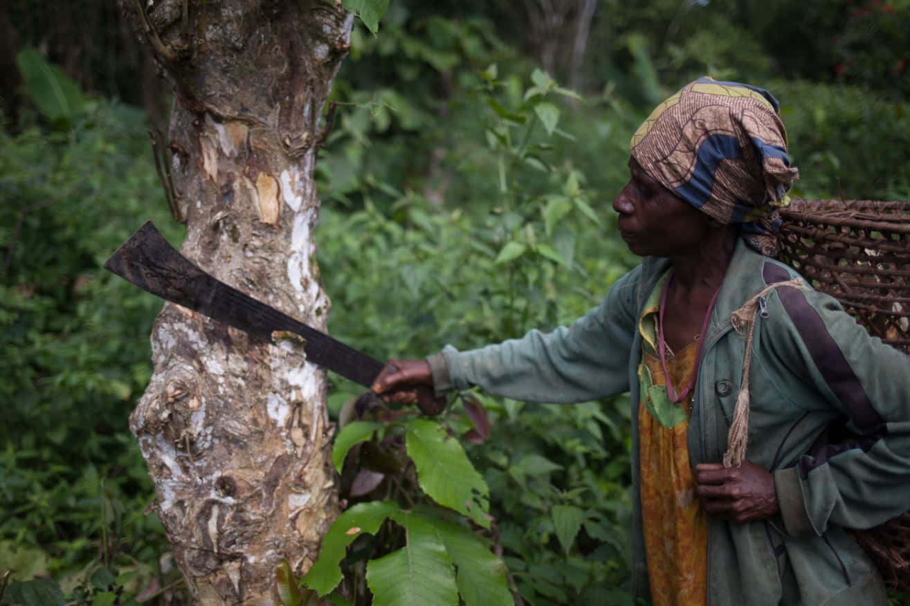 forest conservation, woman, patterned headwrap, HD Desktop Wallpaper
