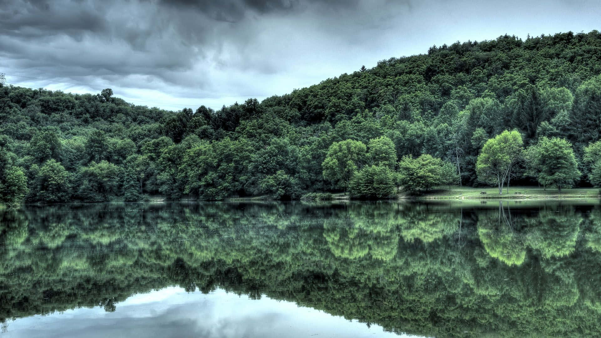 forest, sunset, lake, Full HD Desktop Wallpaper