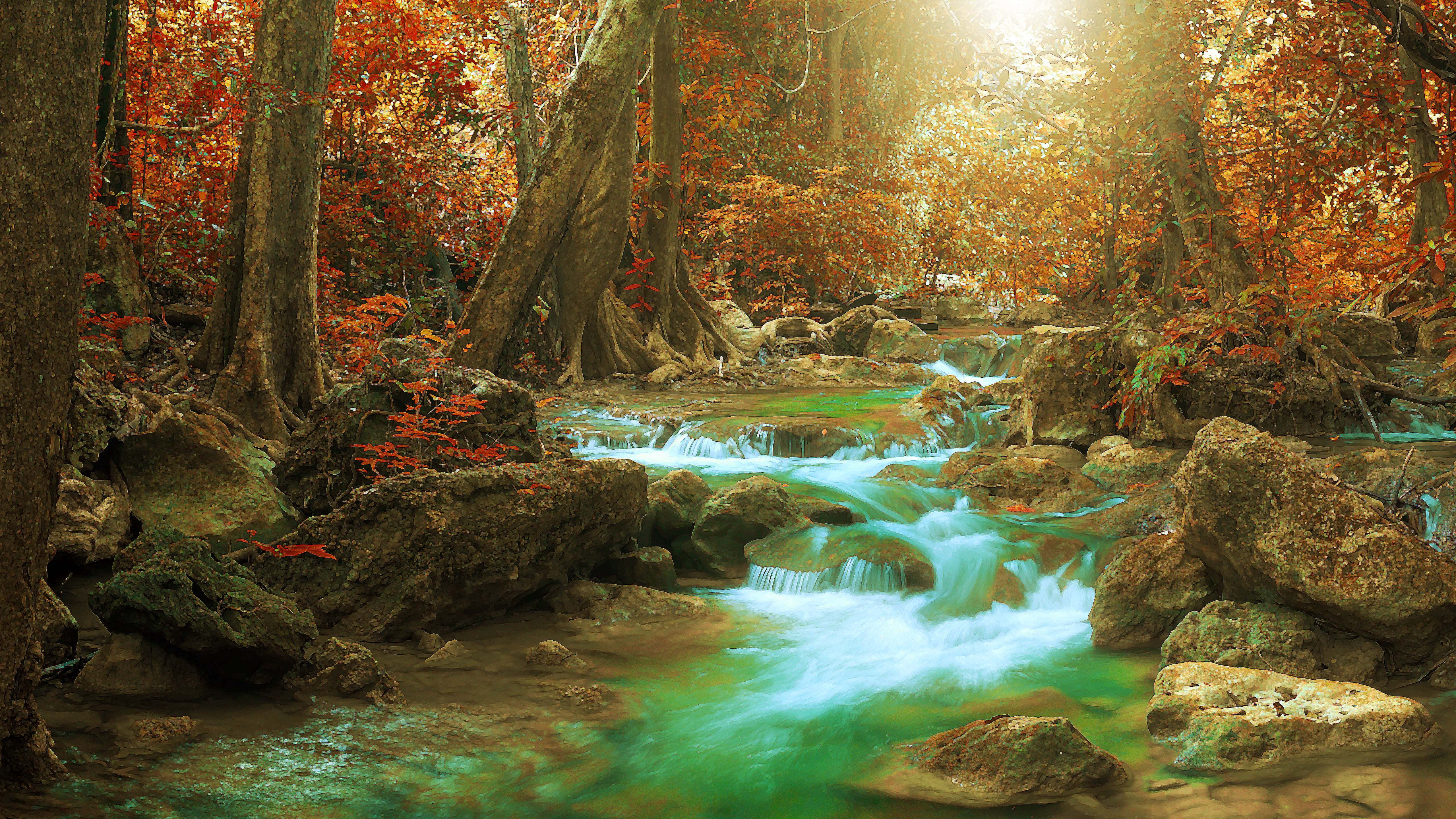 autumn trees, turquoise stream, mossy rocks, 5K Desktop Wallpaper