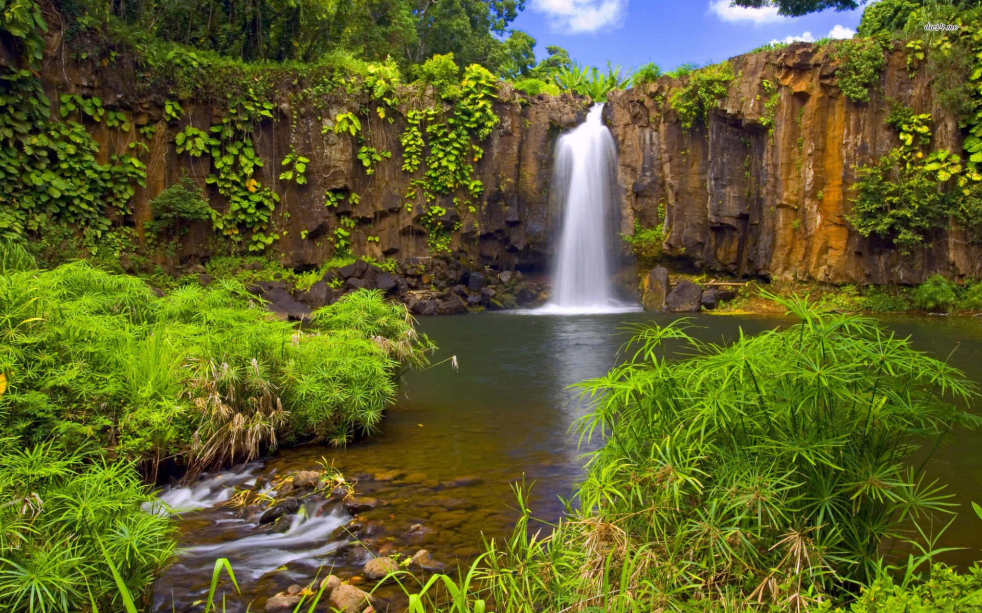 jungle desktop, waterfall, mossy cliffs, Full HD Desktop Wallpaper