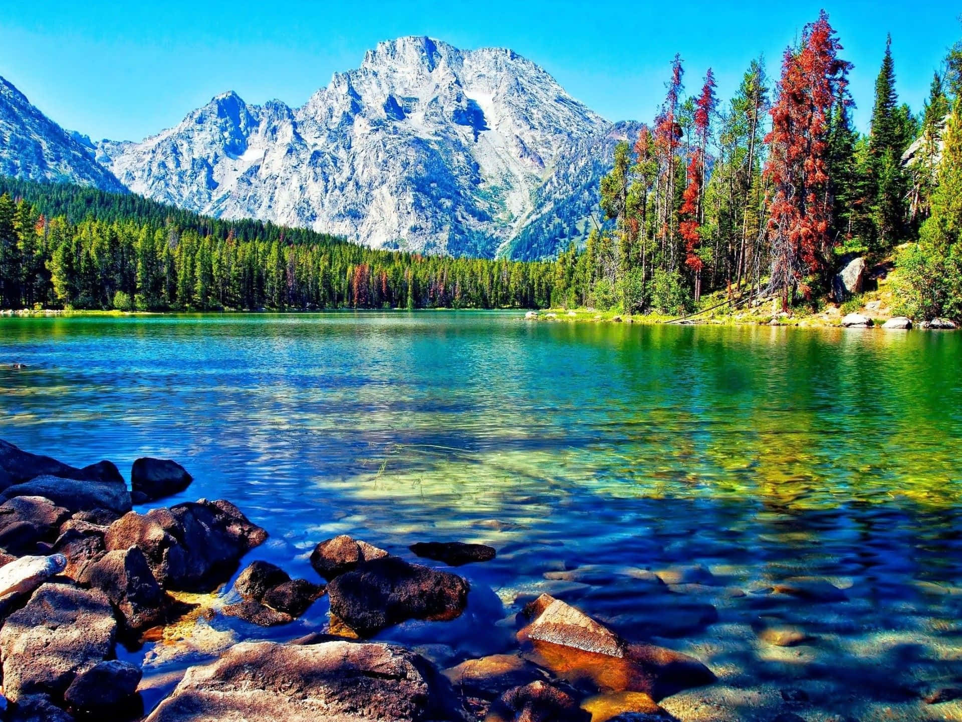 alpine lake, snowcapped peaks, autumn trees, Full HD Desktop Wallpaper