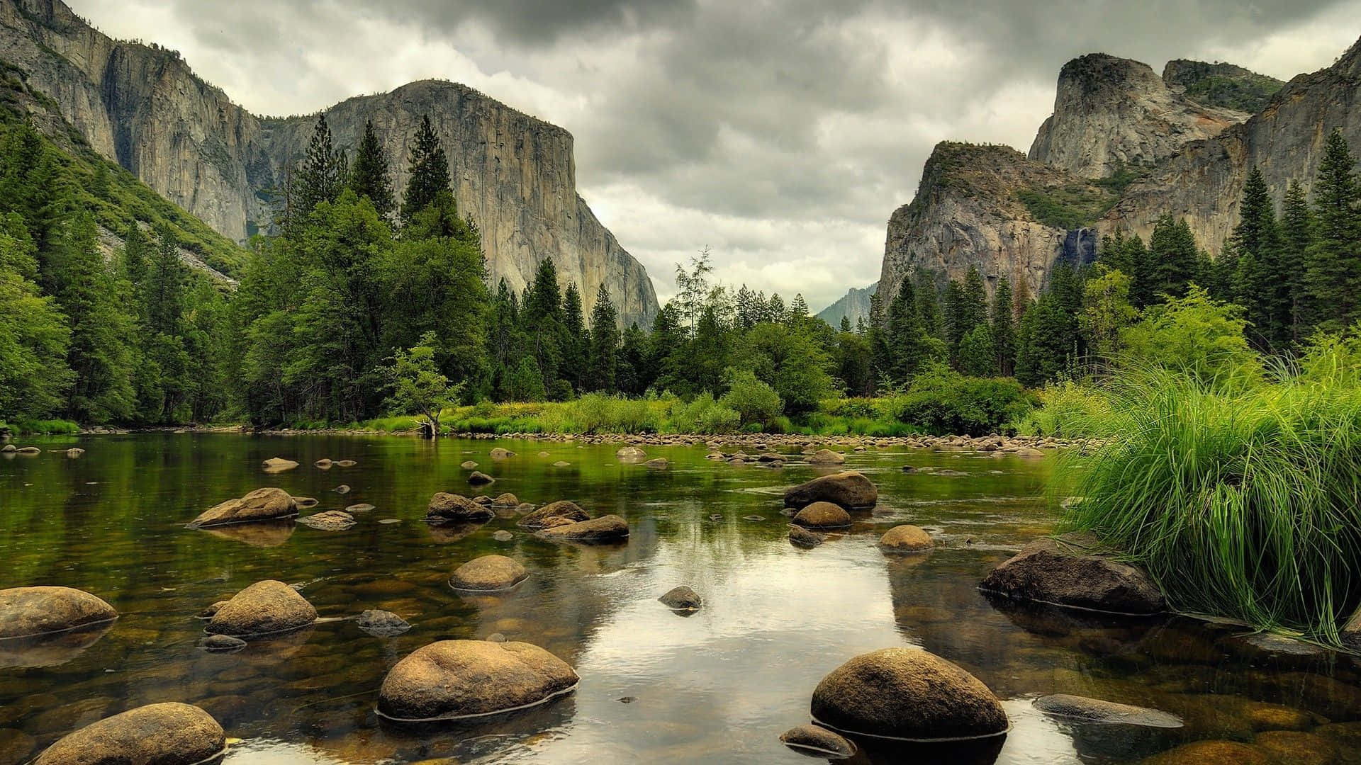 forest, river, valley, Full HD Desktop Wallpaper