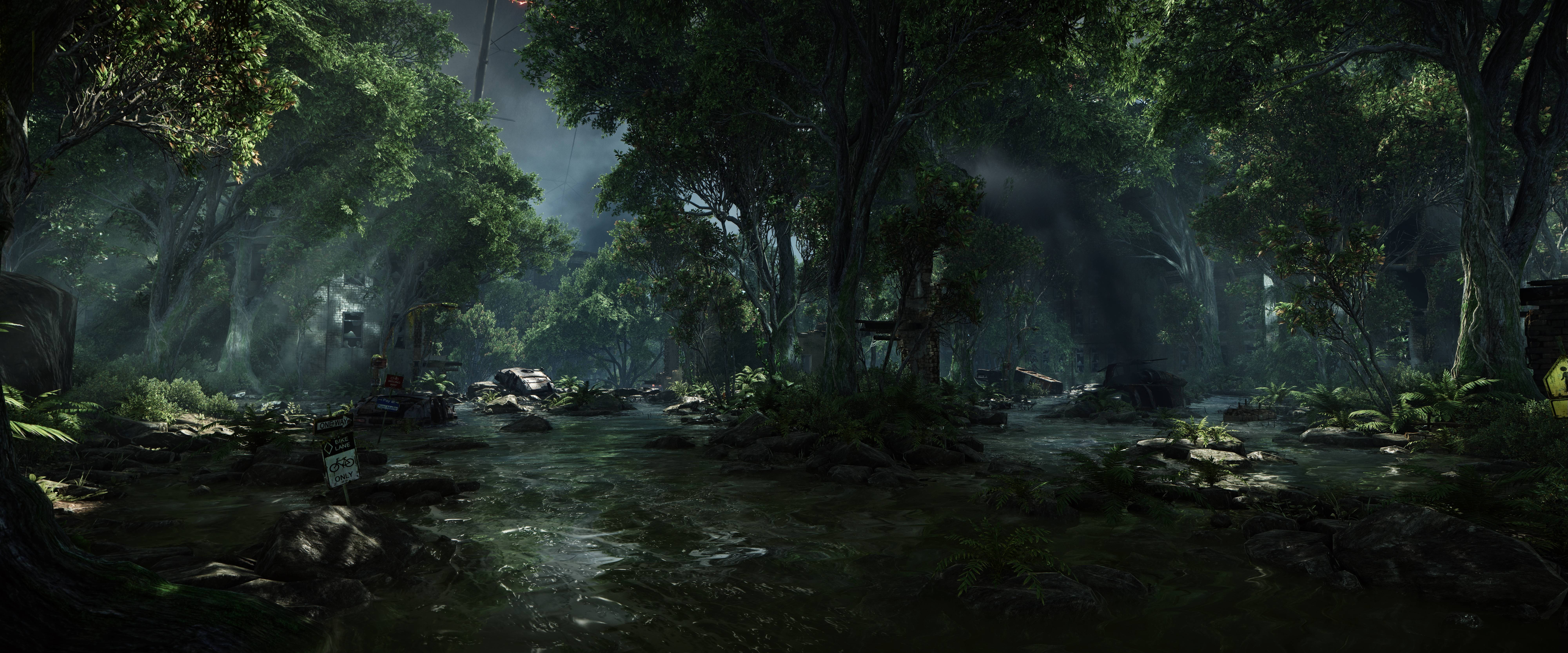 dual monitor, forest, jungle canopy, 8K Desktop Wallpaper