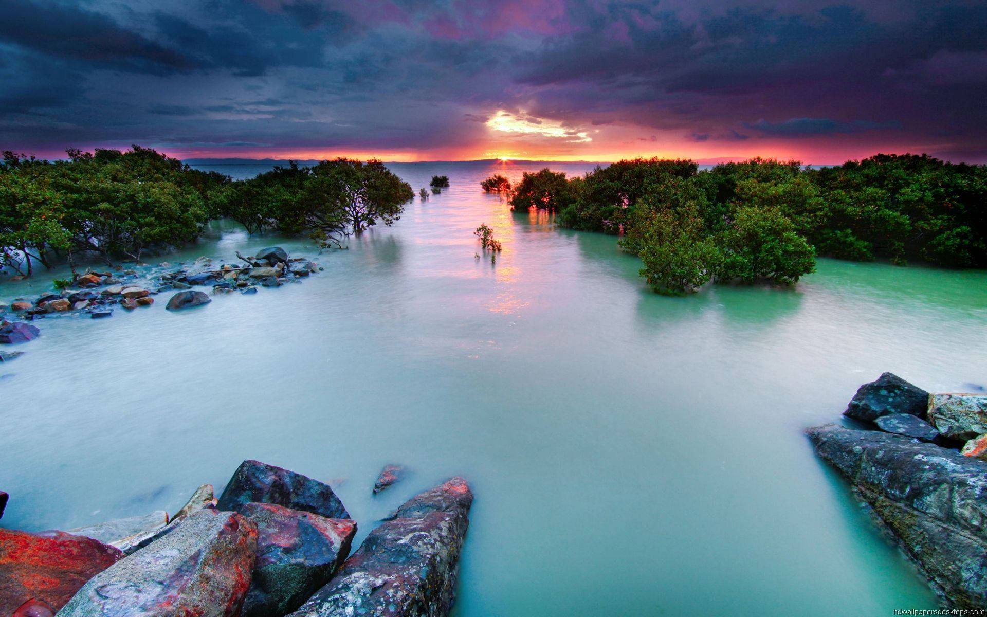 mangrove forest, sunset, glowing turquoise water, Full HD Desktop Wallpaper