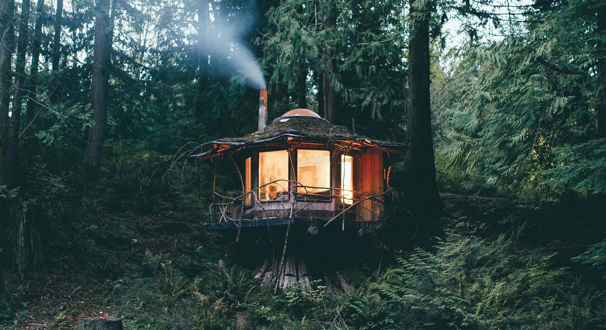 tree house, forest, chimney, Full HD Desktop Wallpaper