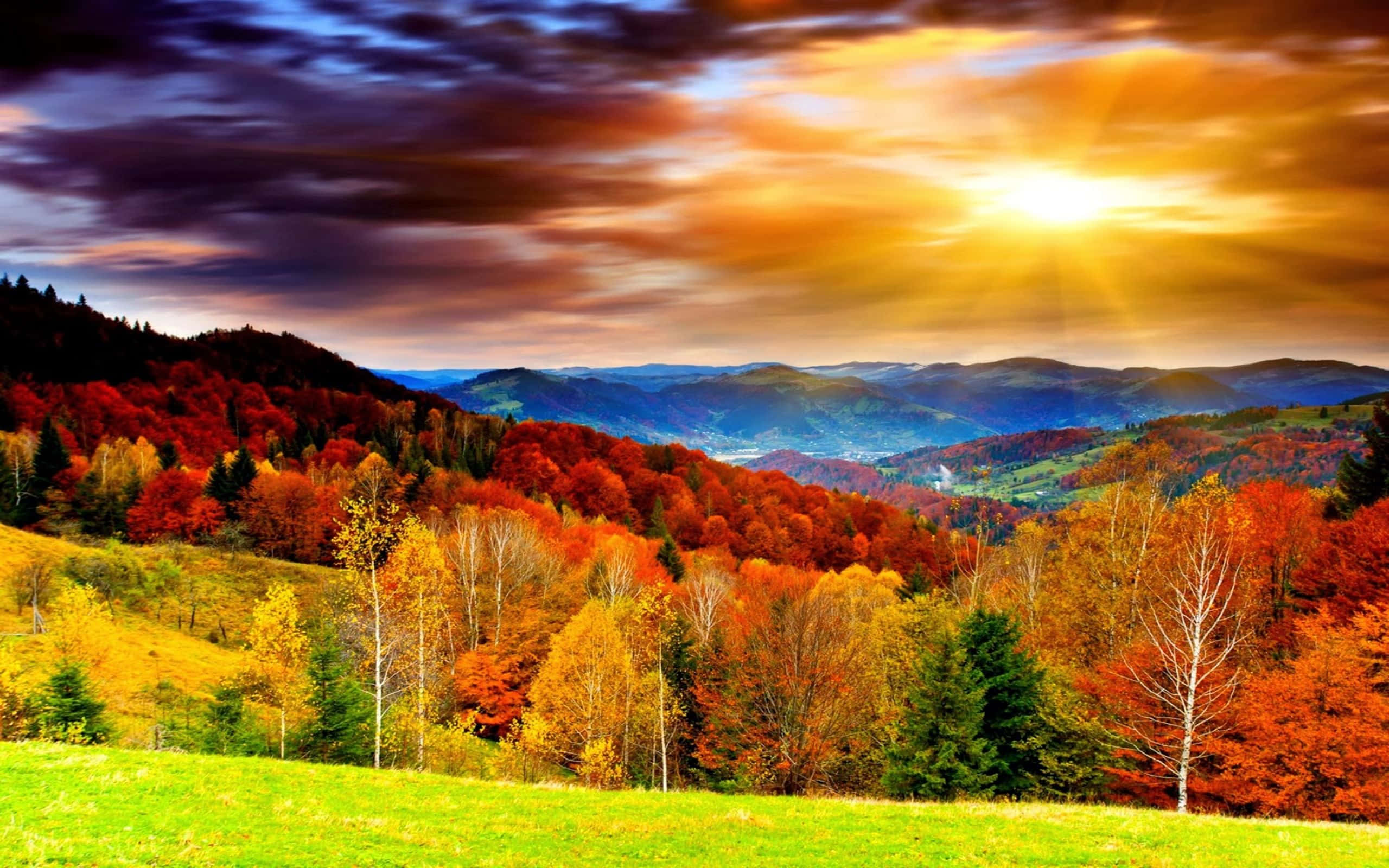 autumn forest, dramatic sunset sky, fiery orange clouds, 2K Desktop Wallpaper