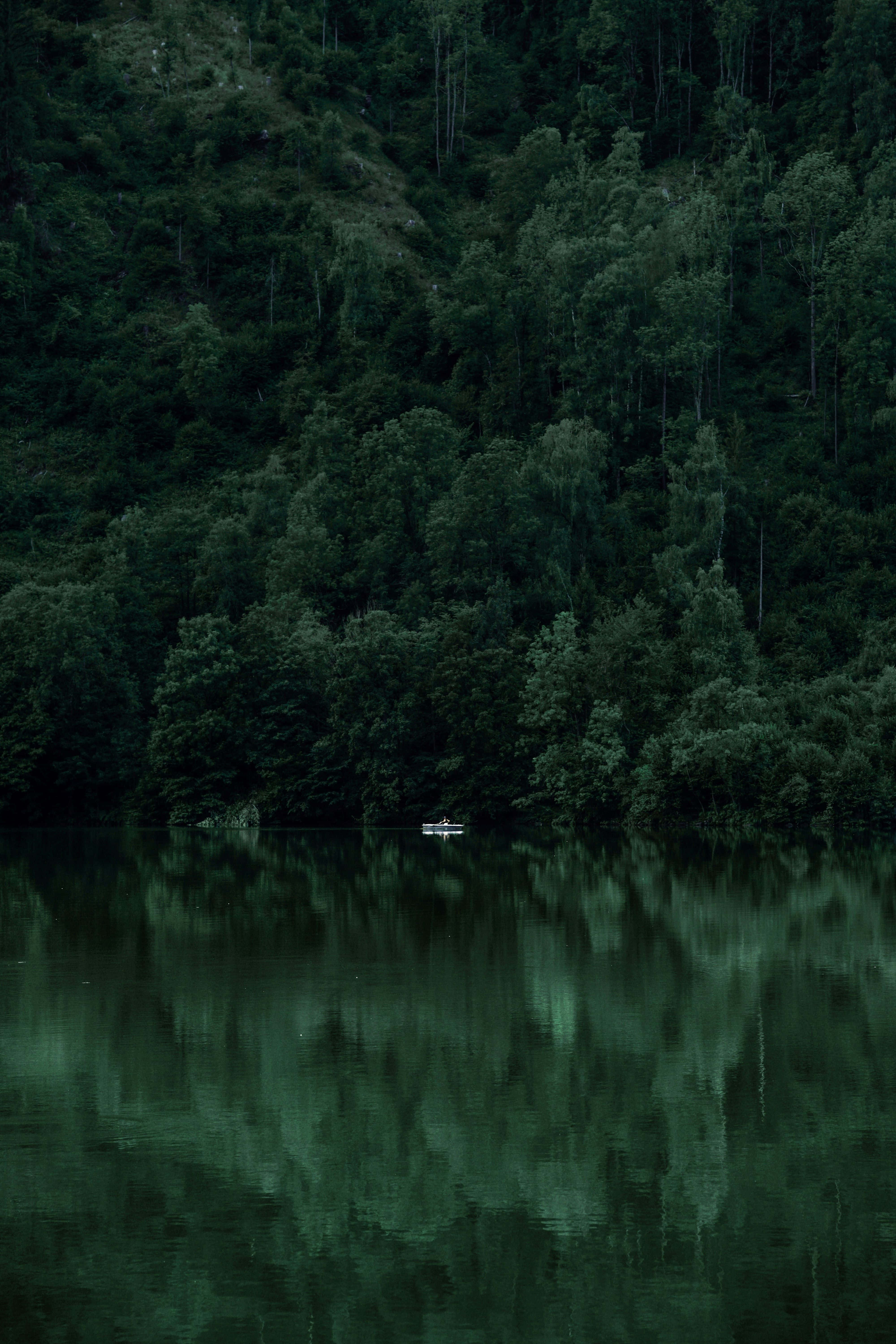 emerald lake, dense forested hillside, moody twilight, 5K Phone Wallpaper