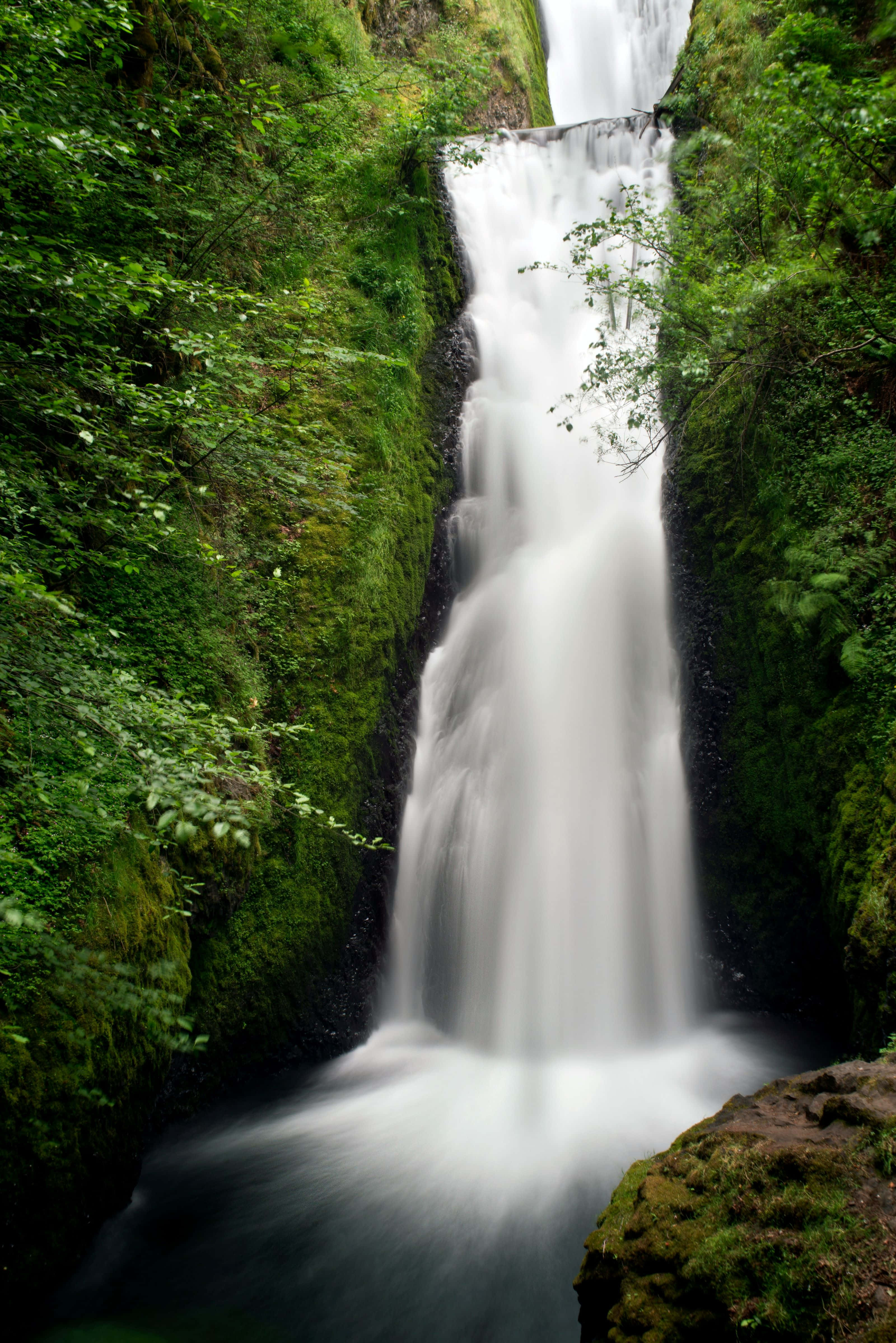 enchanted forest, waterfall, mossy cliffs, 4K Phone Wallpaper