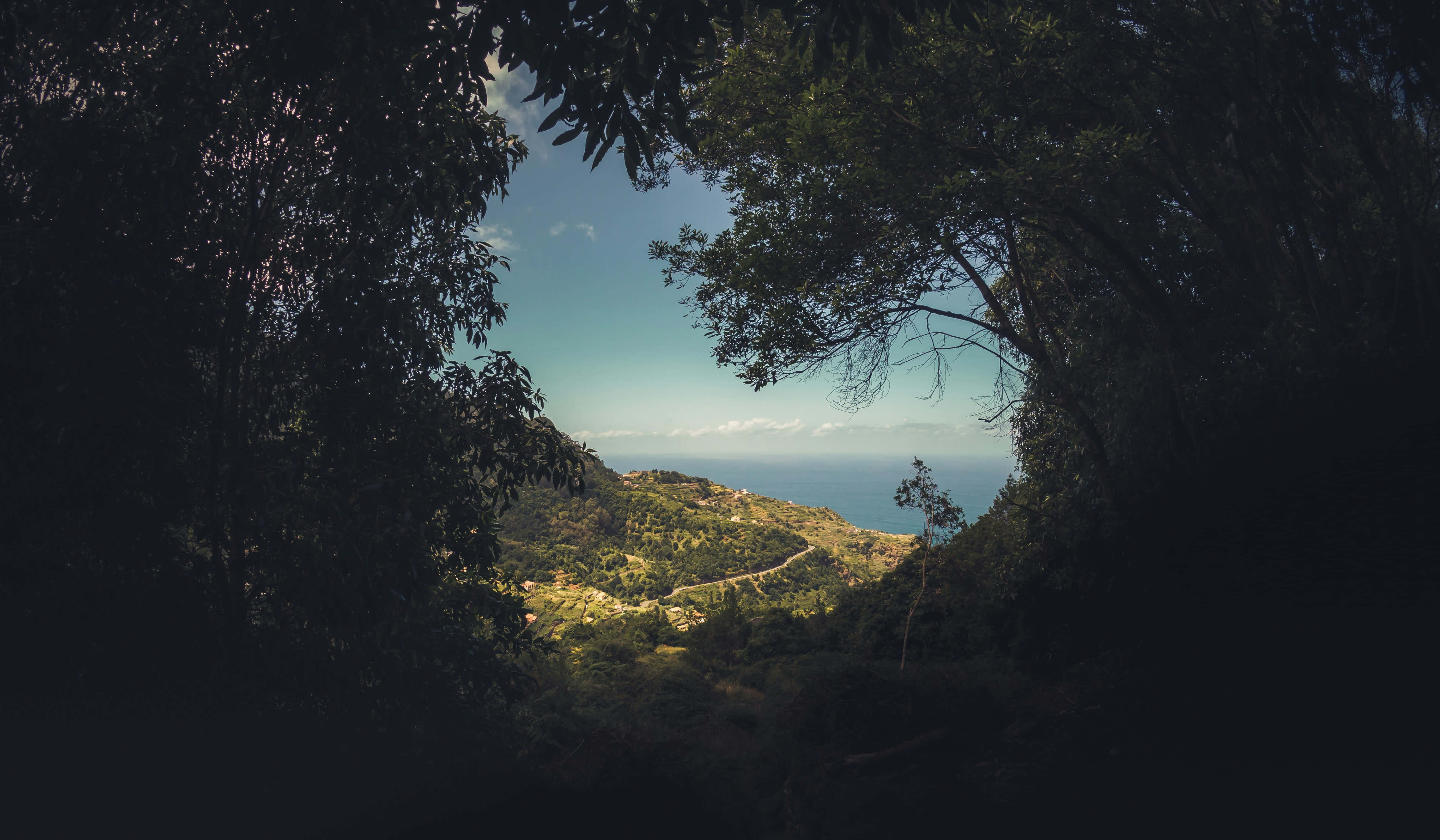 Forest Window To The Sea, sunlit coastal valley, terraced hills, 4K Desktop Wallpaper