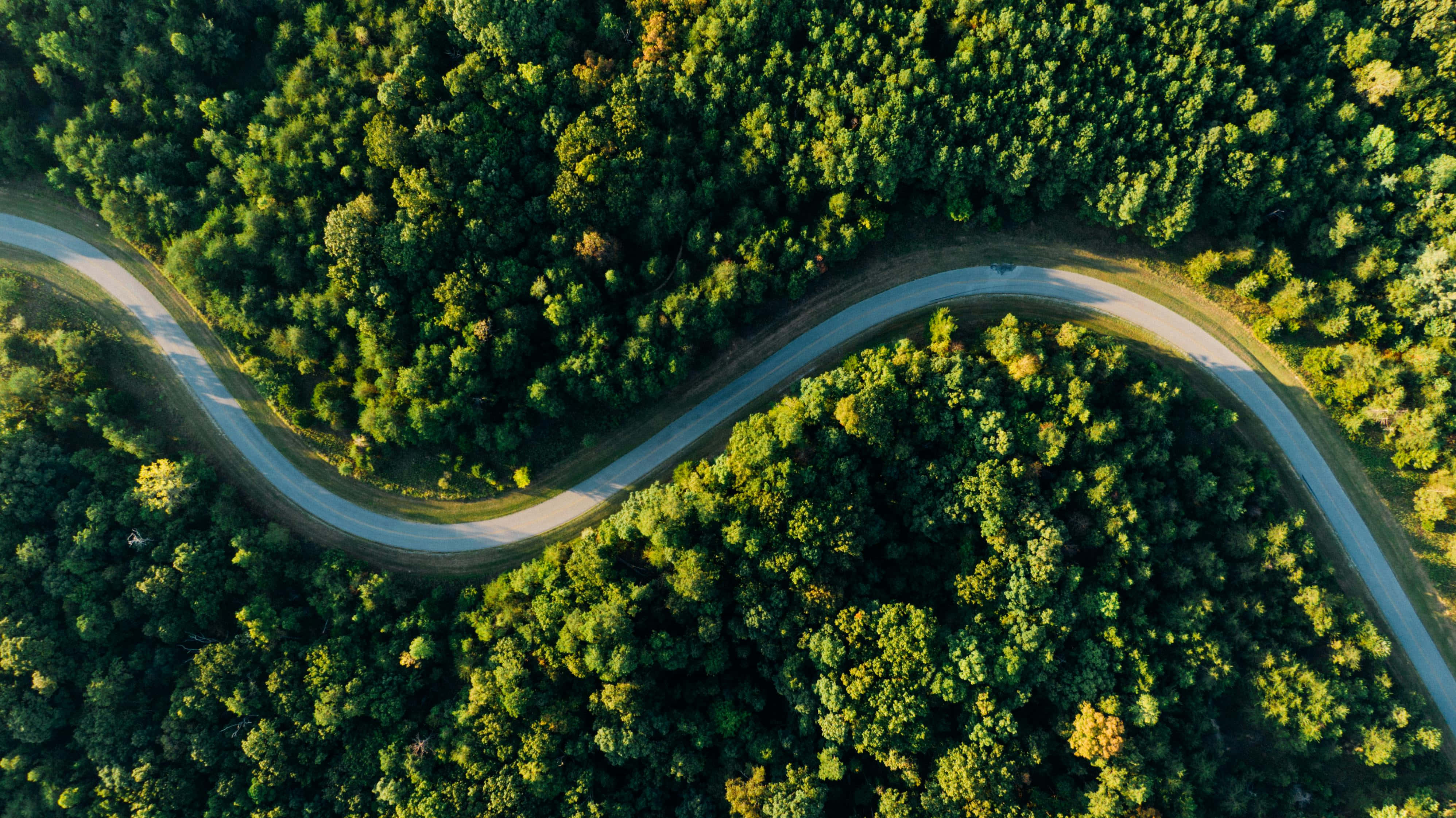 aerial perspective, winding asphalt road, dense green forest, 4K Desktop Wallpaper