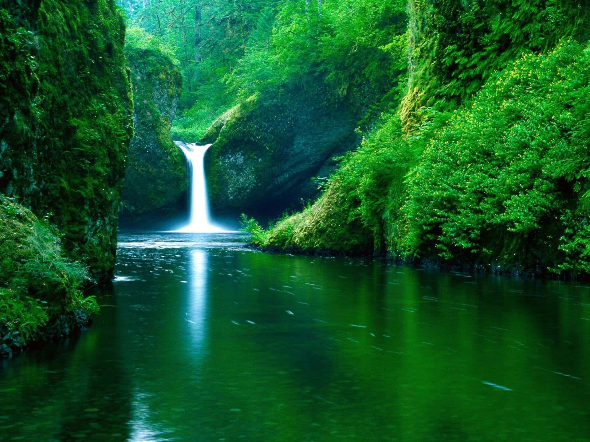 Forest Green, emerald pool, lush mossy cliffs, Full HD Desktop Wallpaper