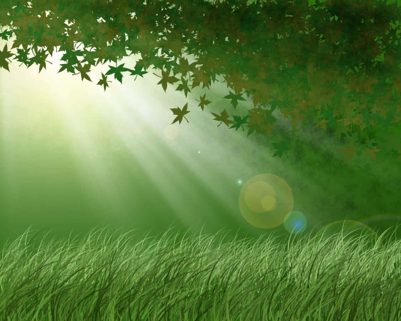 Forest Green, sunlight beams, dense green maple leaves, HD Desktop Wallpaper