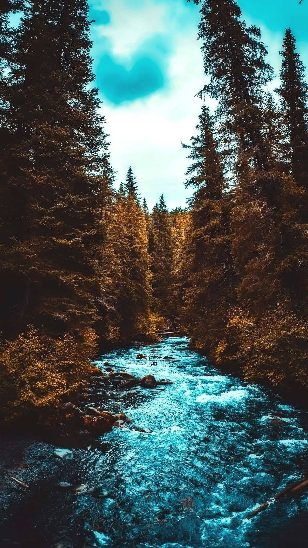 autumn forest, turquoise river, evergreens, Full HD Phone Wallpaper