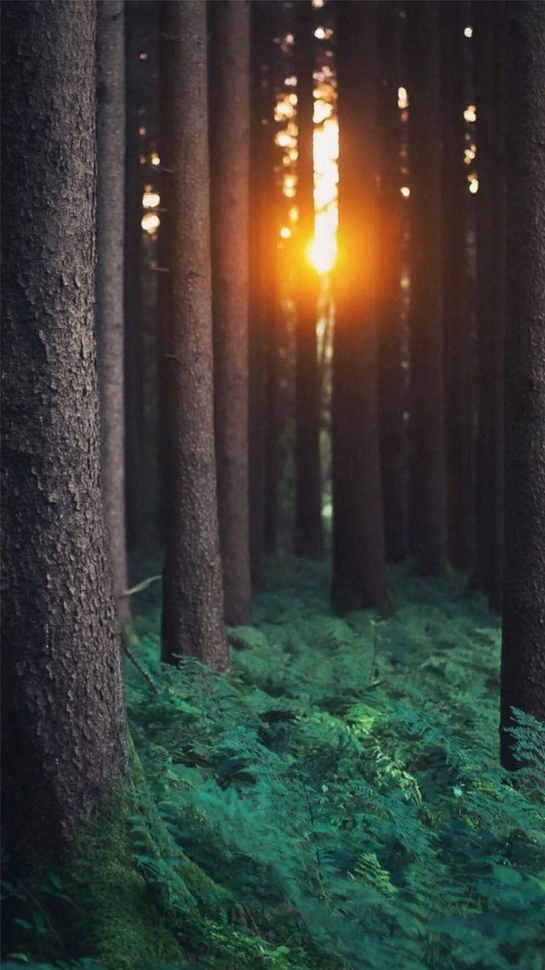 Sunlight, forest, golden beams, Full HD Phone Wallpaper