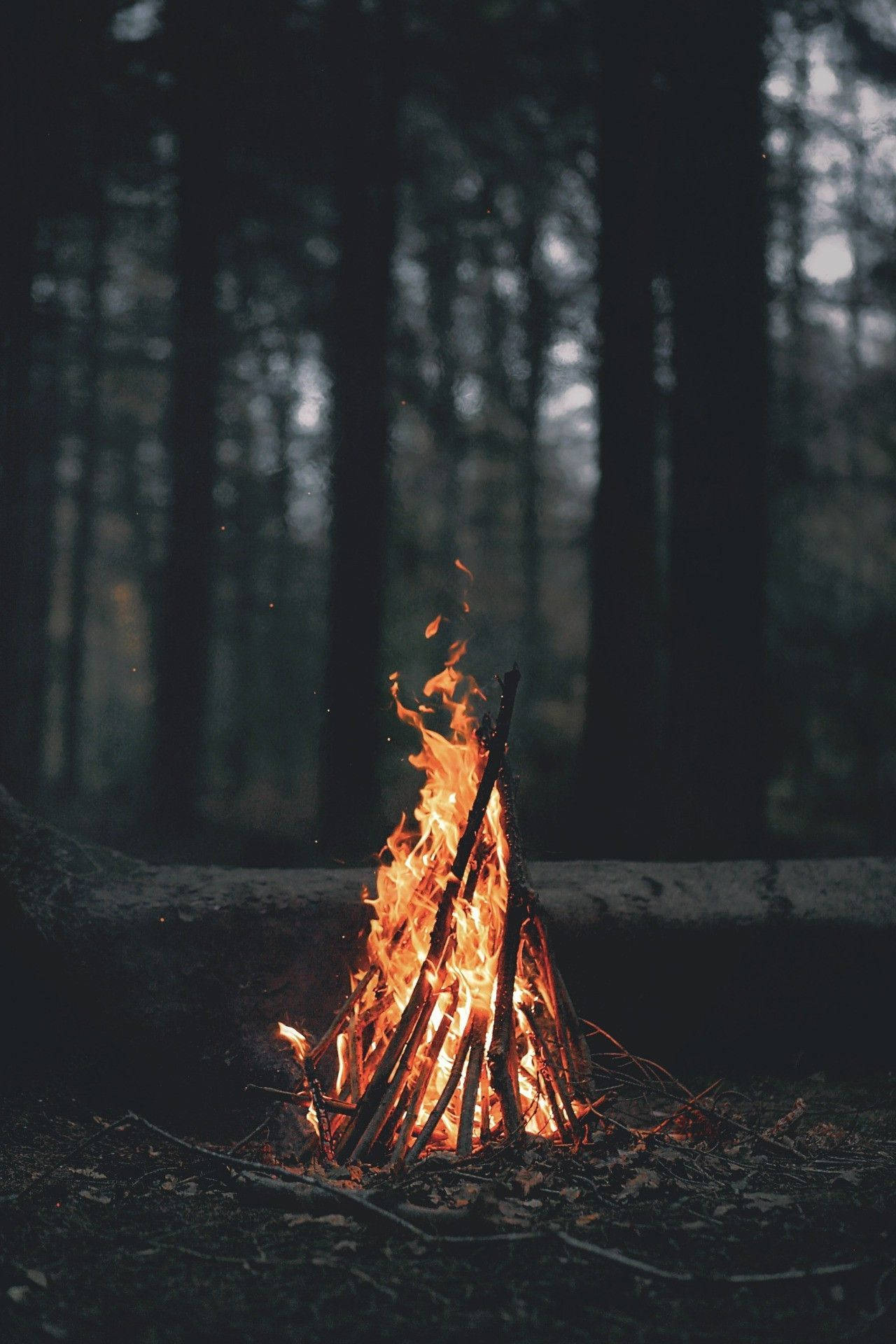 bonfire, dark forest, dusk, Full HD Phone Wallpaper