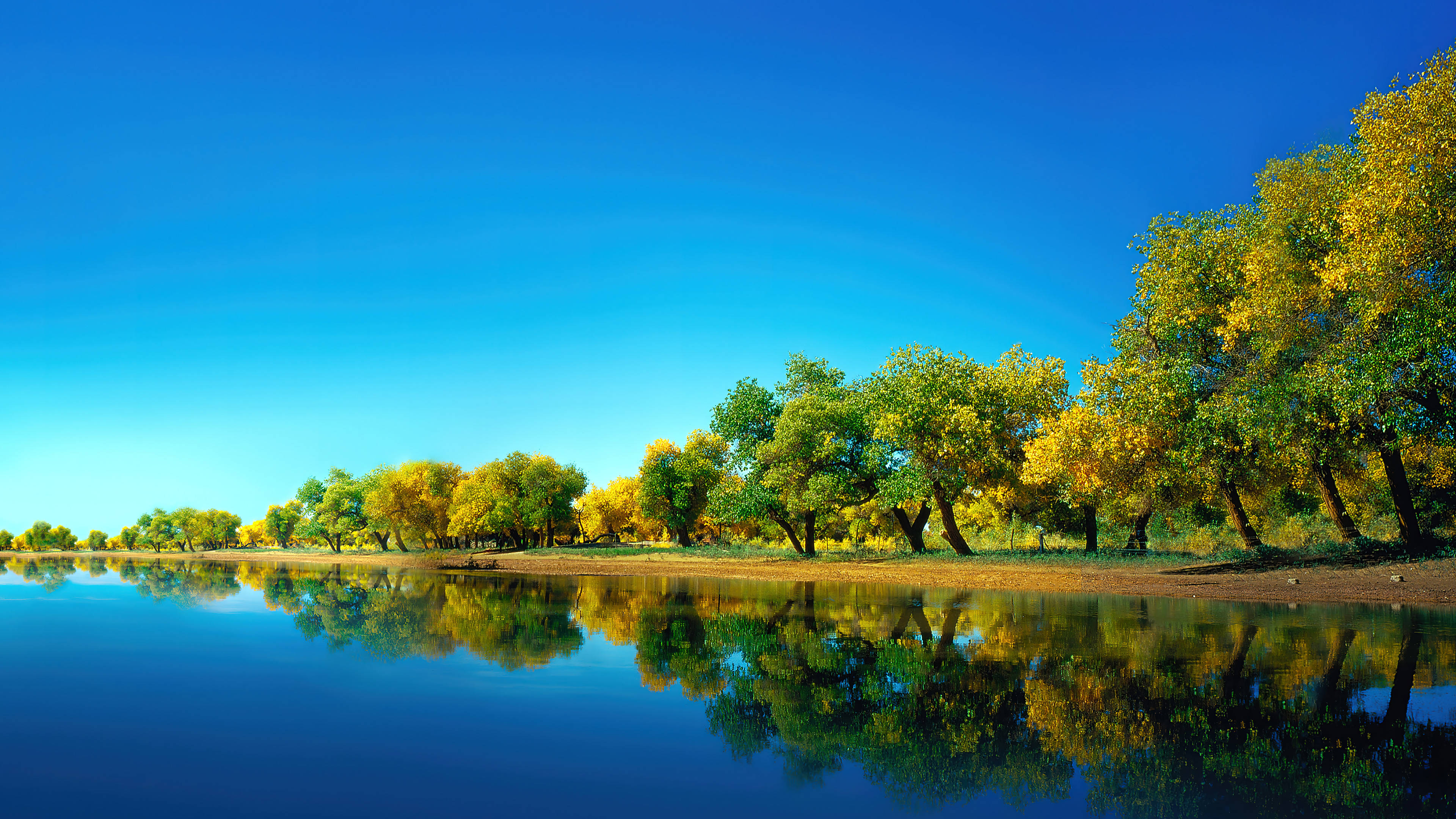 fall forest lake, autumn trees, golden leaves, 4K Desktop Wallpaper