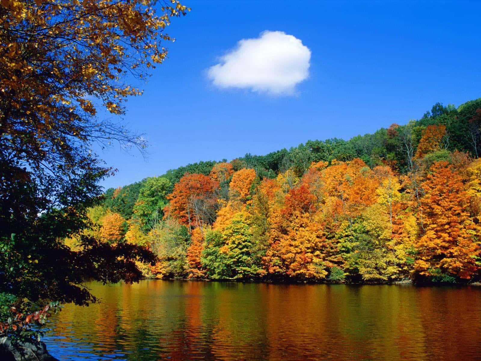 autumn, mountain lake, vibrant orange and gold foliage, HD Desktop Wallpaper