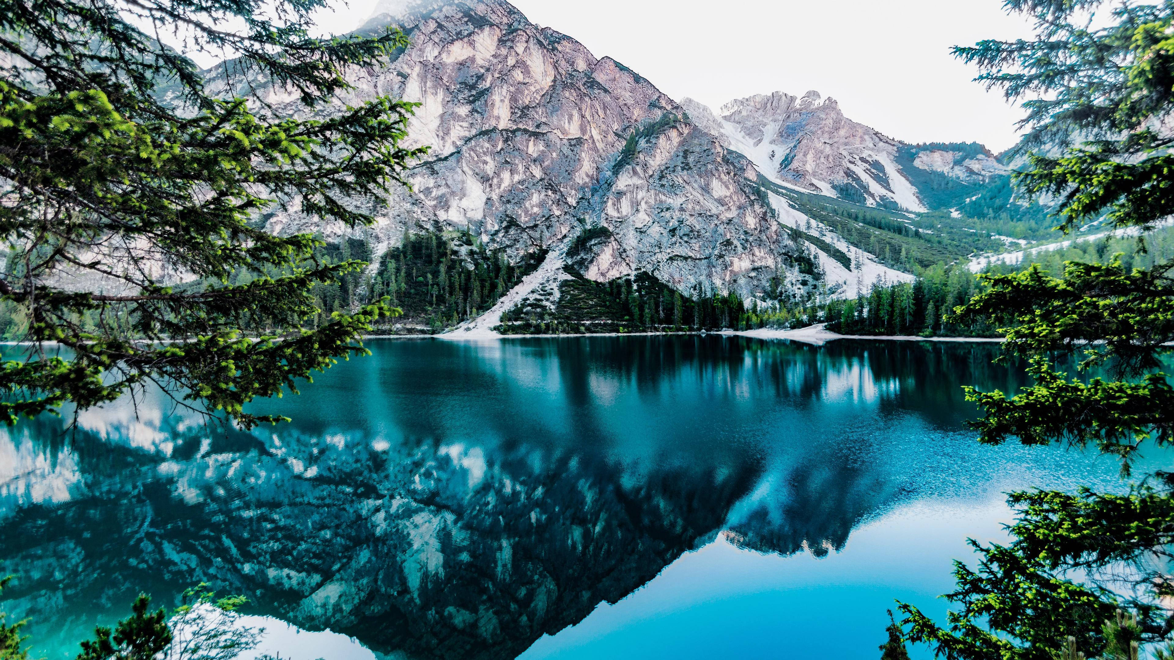Clear Lake Forest, alpine lake, snow-dusted mountains, 4K Desktop Wallpaper