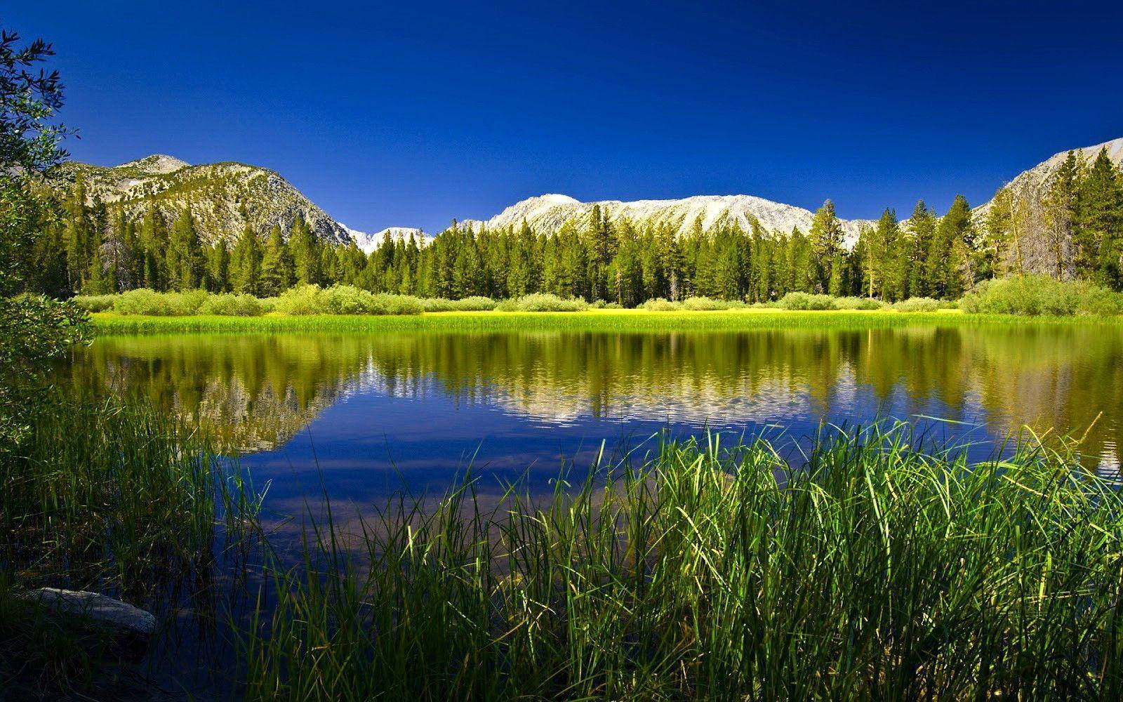 alpine lake, snow-capped mountains, evergreen forests, HD Desktop Wallpaper