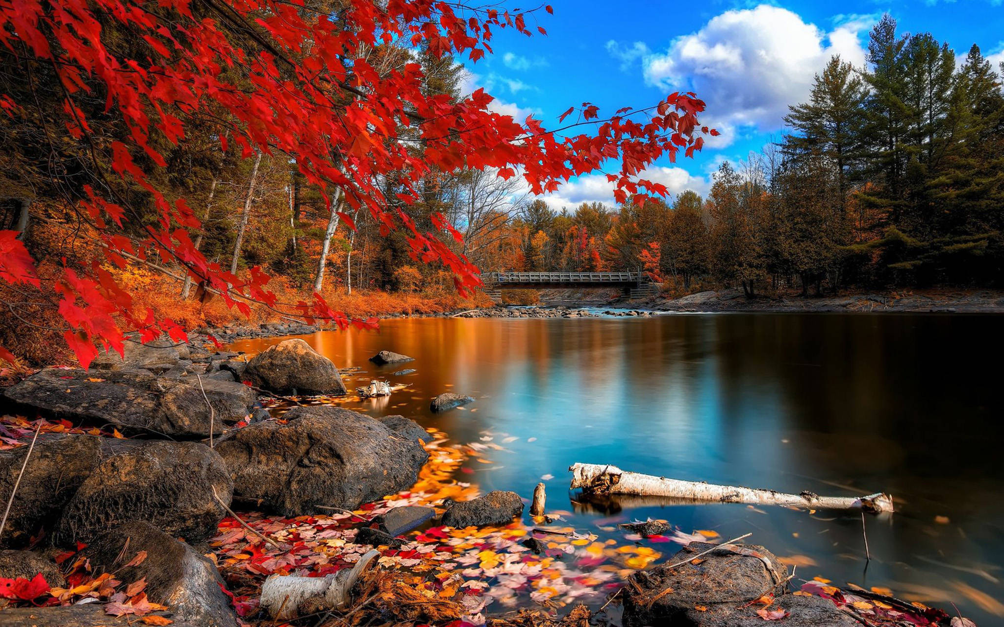 colorful forest lake, red maple leaves, autumn lake, Full HD Desktop Wallpaper