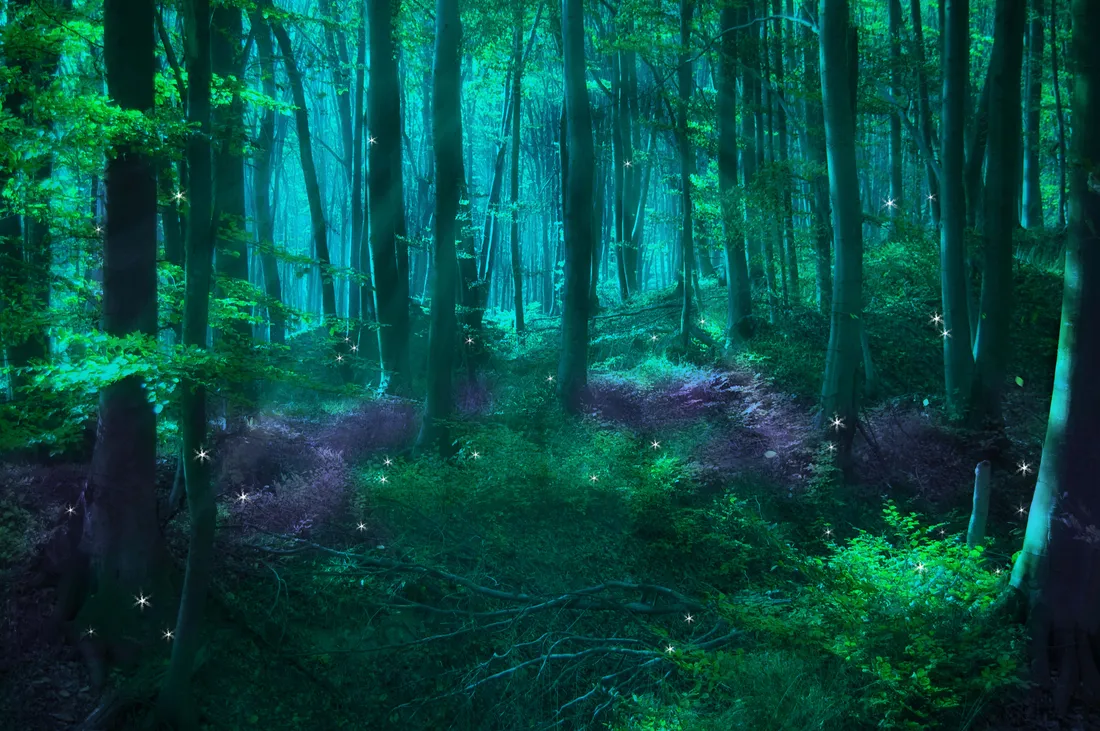 Forest View