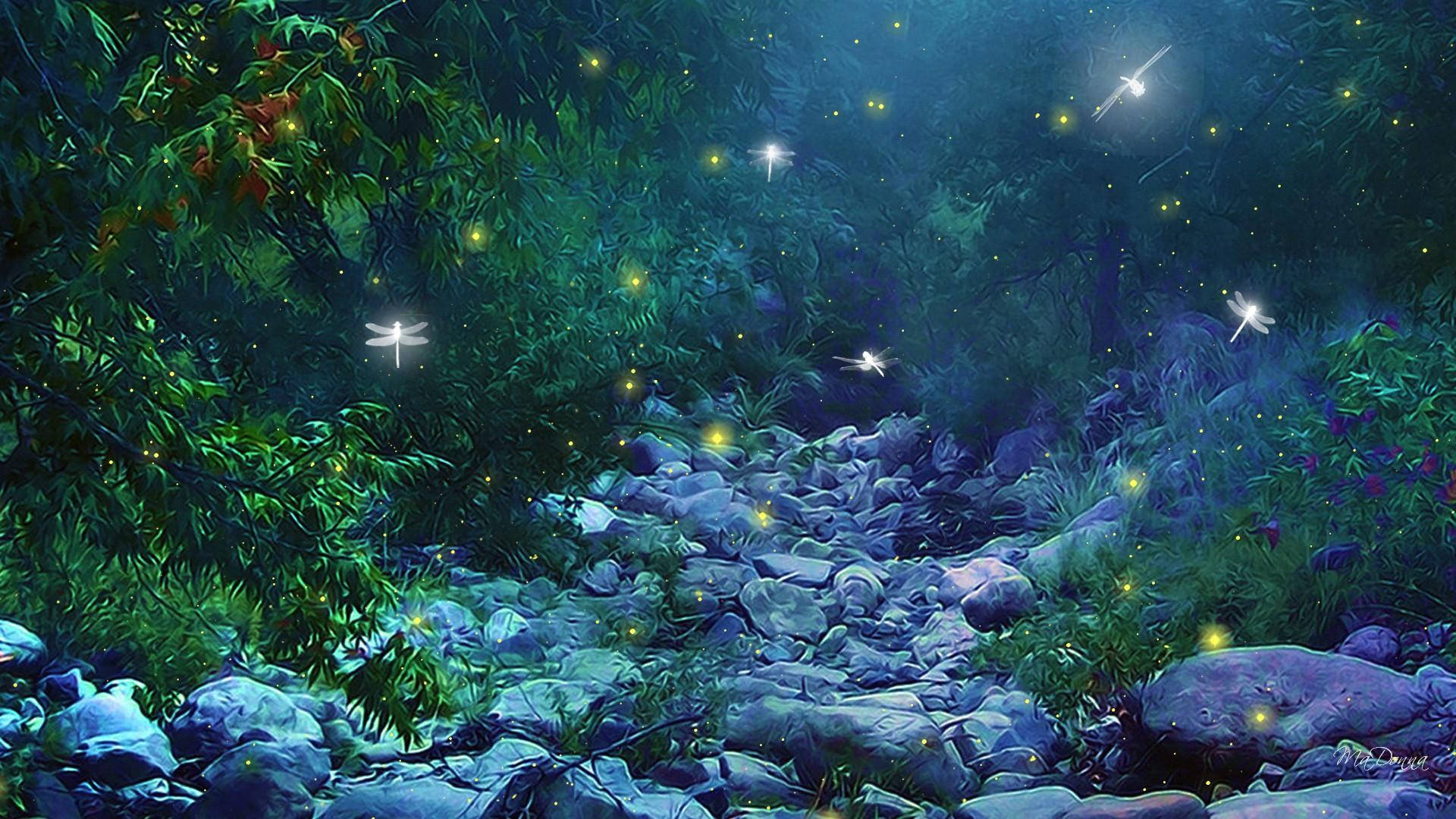 enchanted forest, rocky path, mystical forest stream, Full HD Desktop Wallpaper
