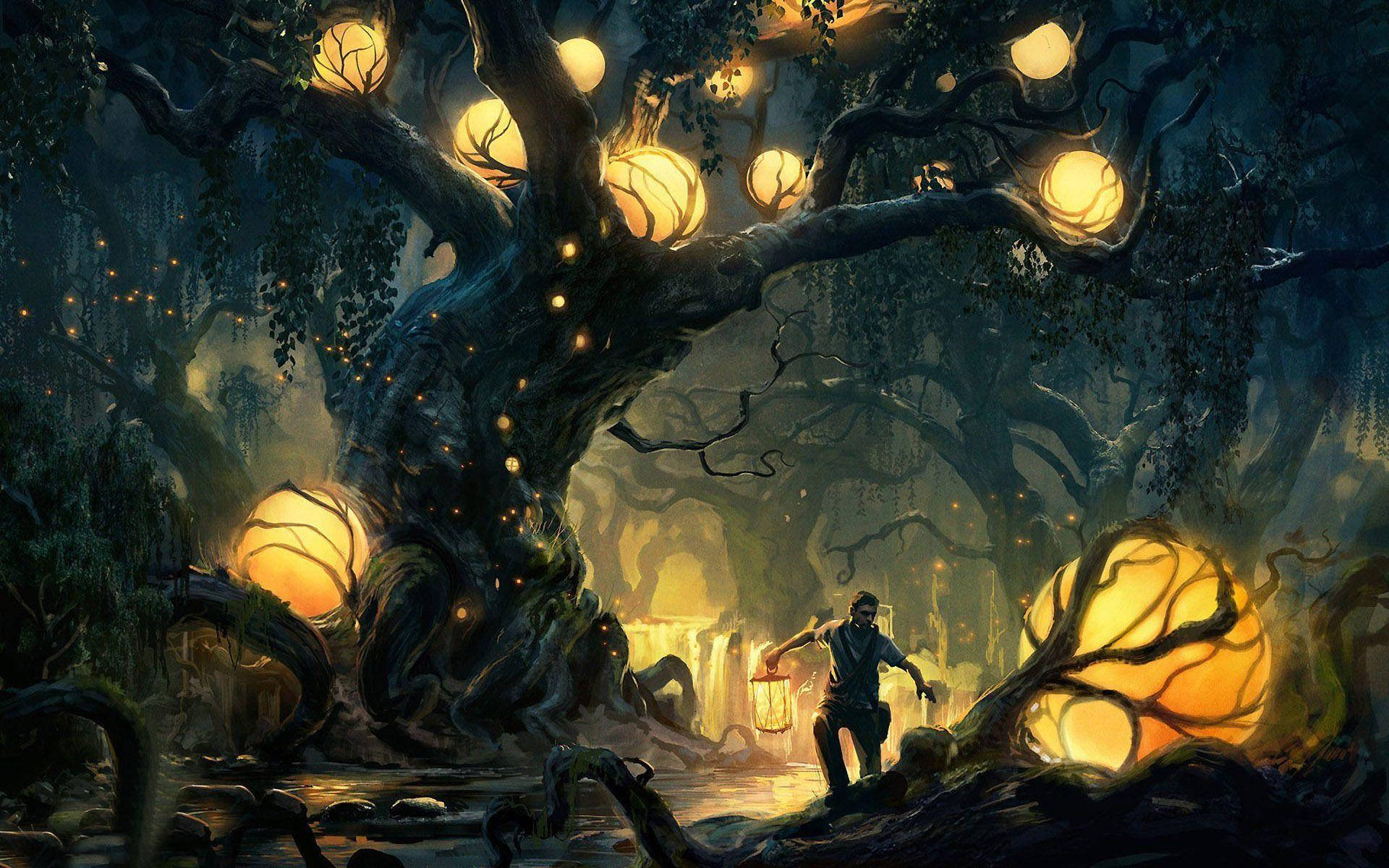 enchanted forest, lone explorer, lantern, Full HD Desktop Wallpaper