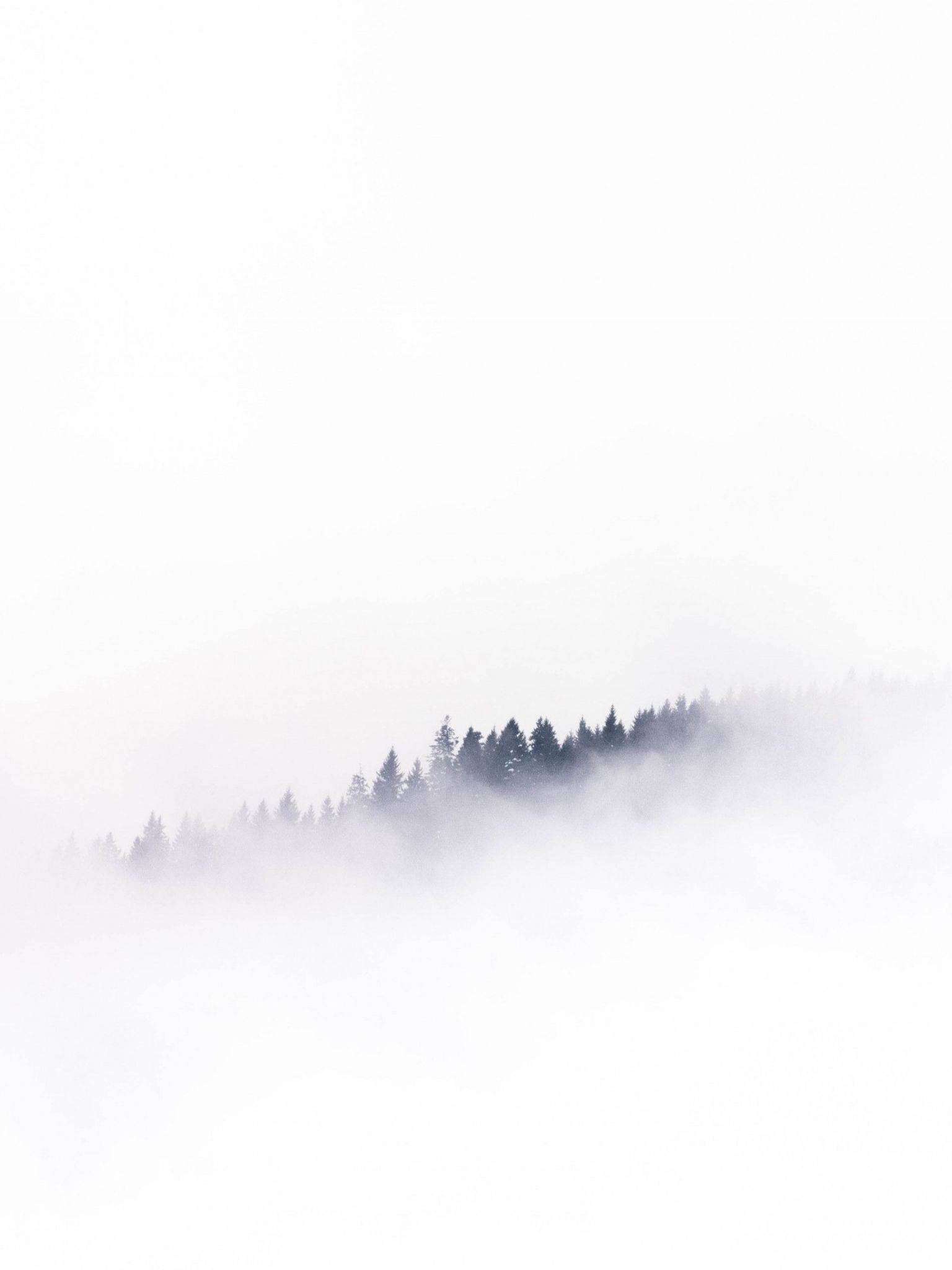 foggy forest, white minimalist, mountain ridge, Full HD Phone Wallpaper