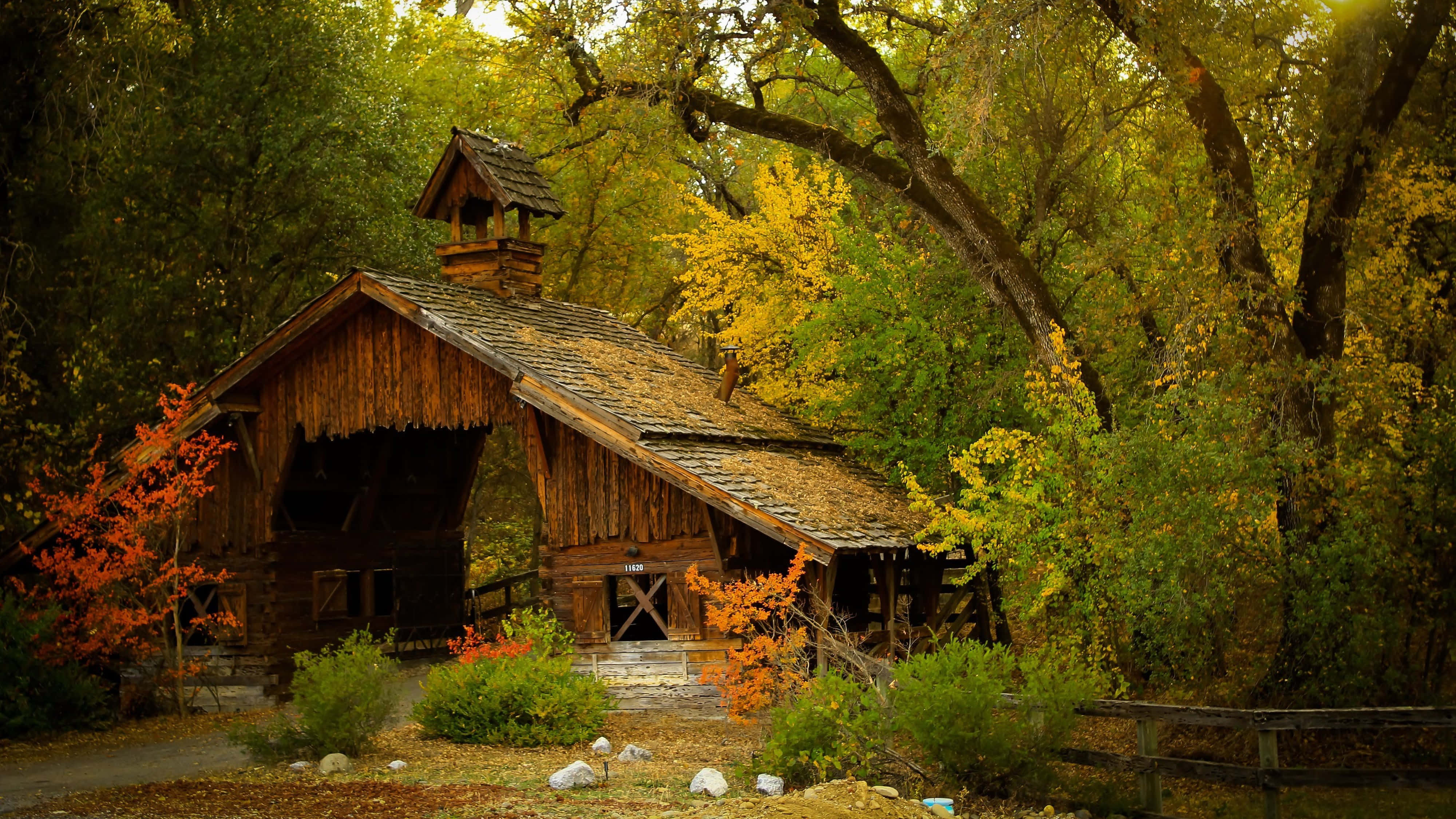 4K UHD, rustic wooden cabin, autumn woods, 4K Desktop Wallpaper