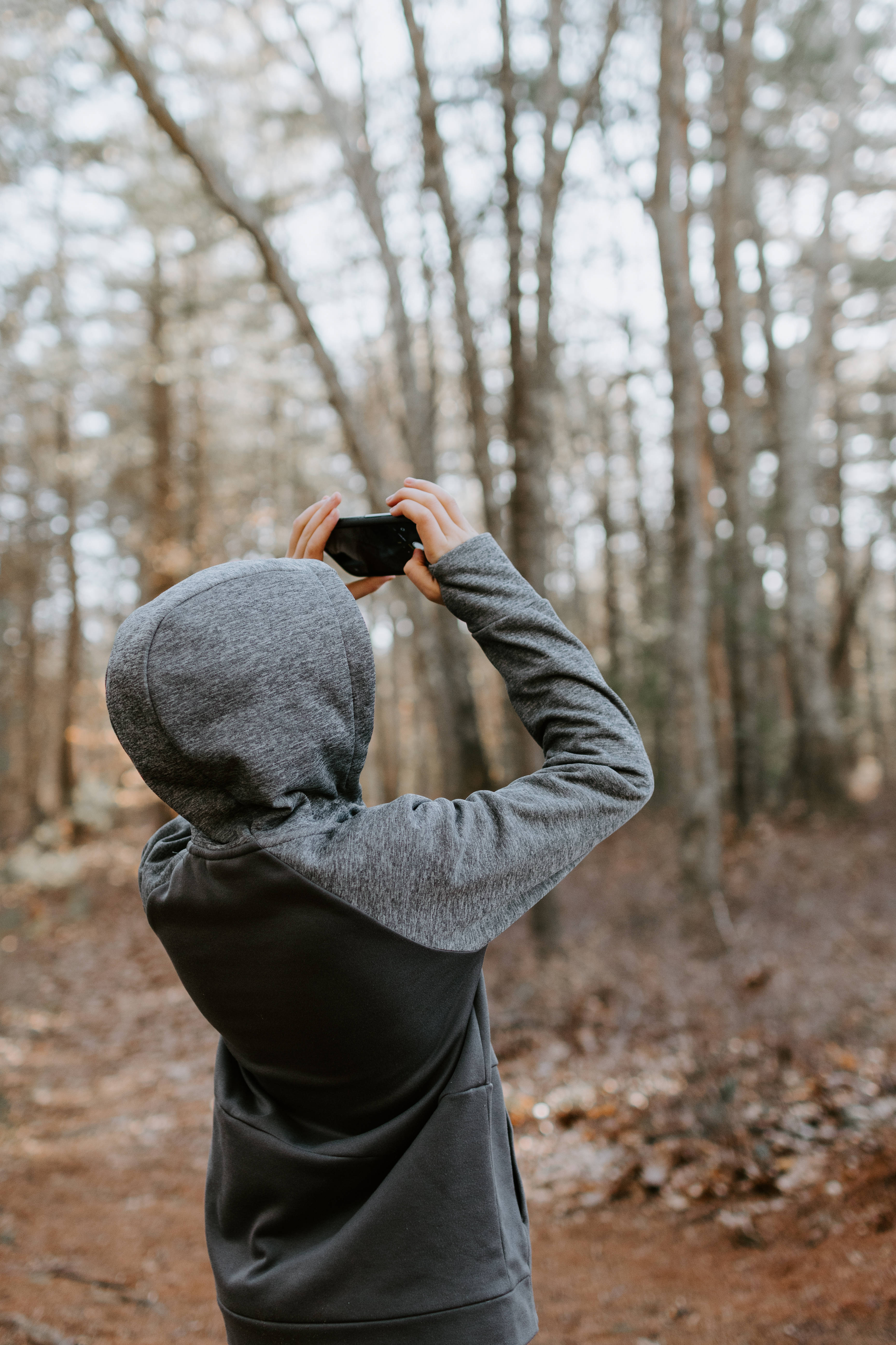 Forever Alone, gray hoodie, bare trees, 5K Phone Wallpaper