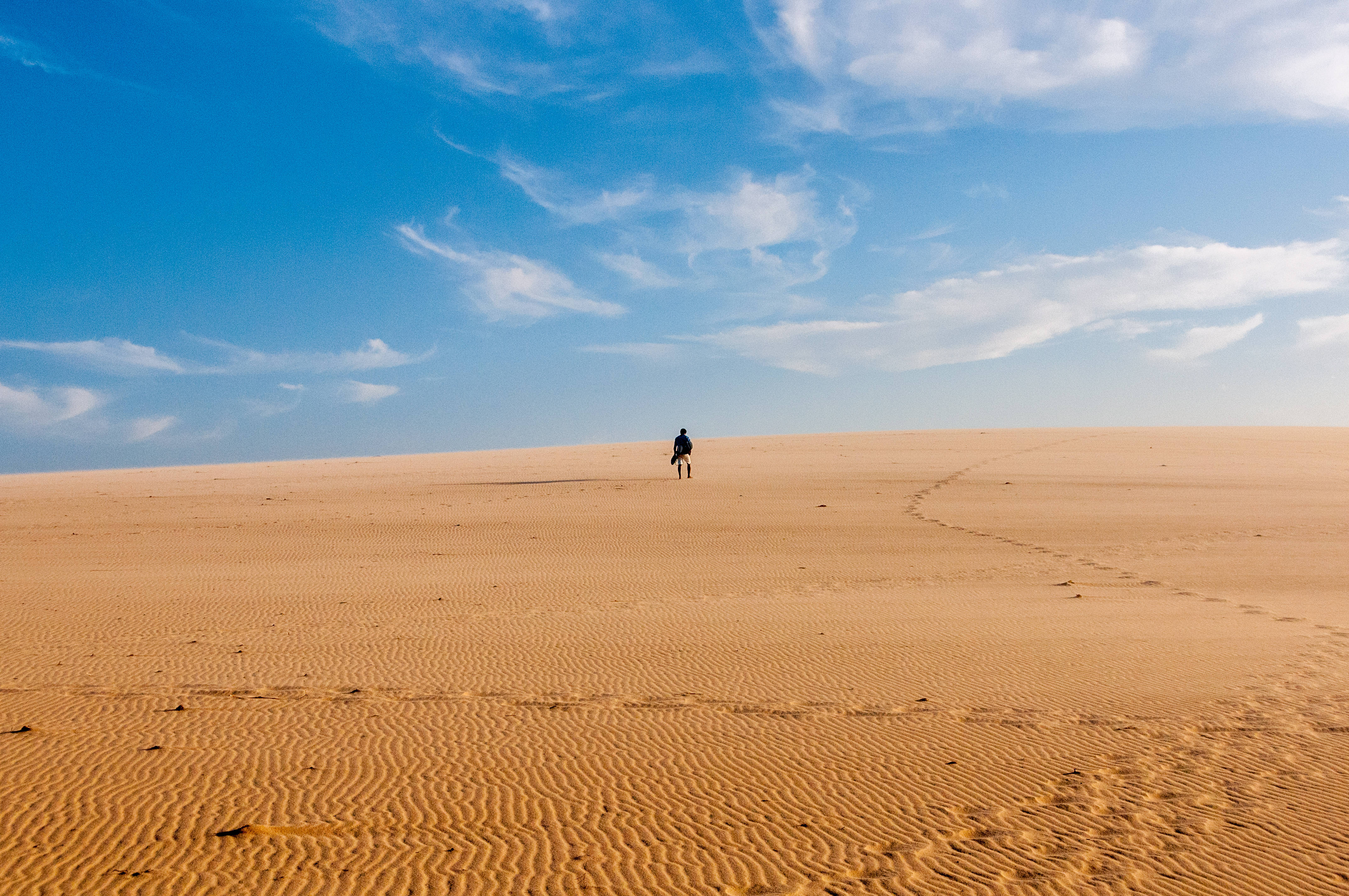 Forever Alone, desert, horseback, 4K Desktop Wallpaper
