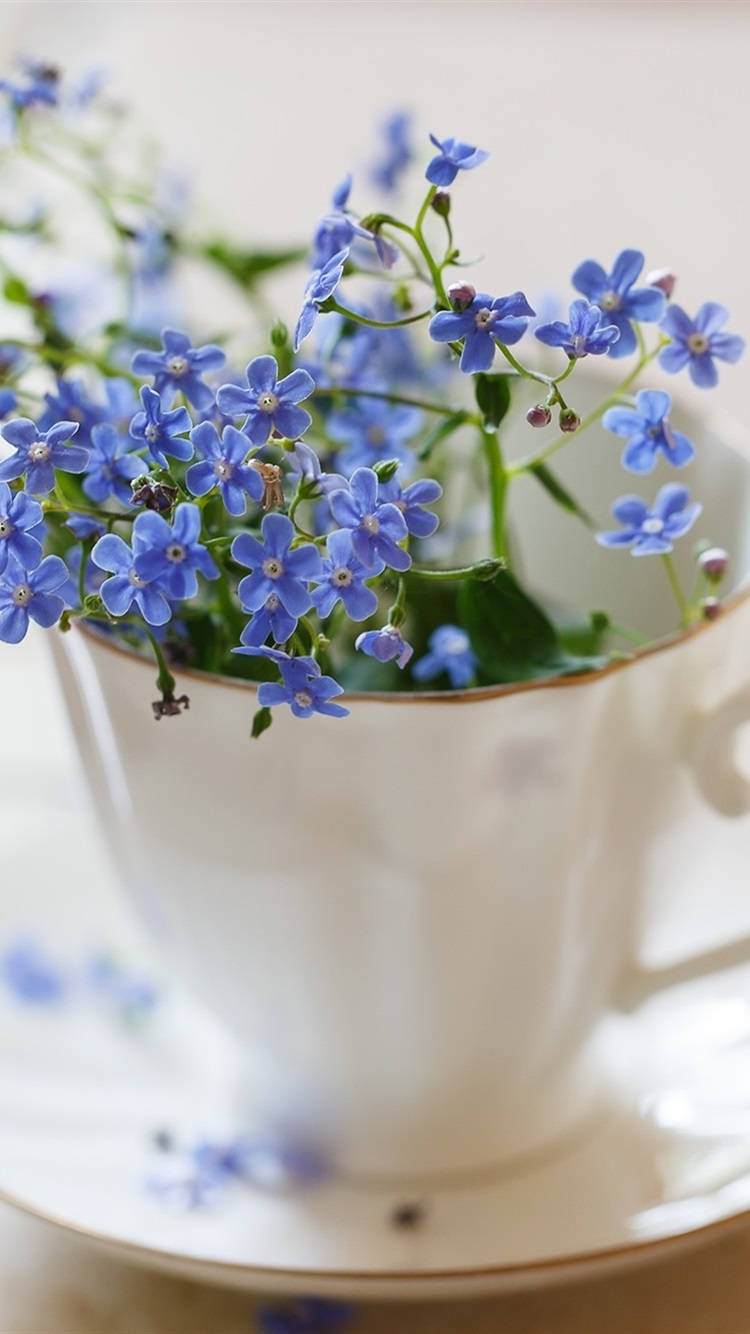 forget me not flower, white porcelain teacup, gold trim, HD Phone Wallpaper