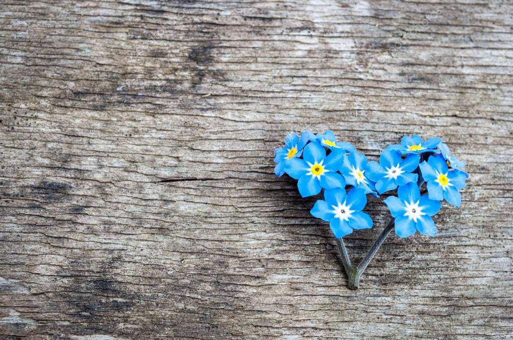 heart shaped forget me not flowers, blue forget-me-nots, yellow centers, SD Desktop Wallpaper