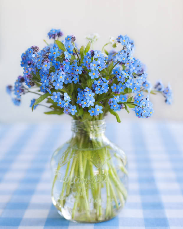 forget me not flowers, blue sky, clear glass jar, SD Phone Wallpaper