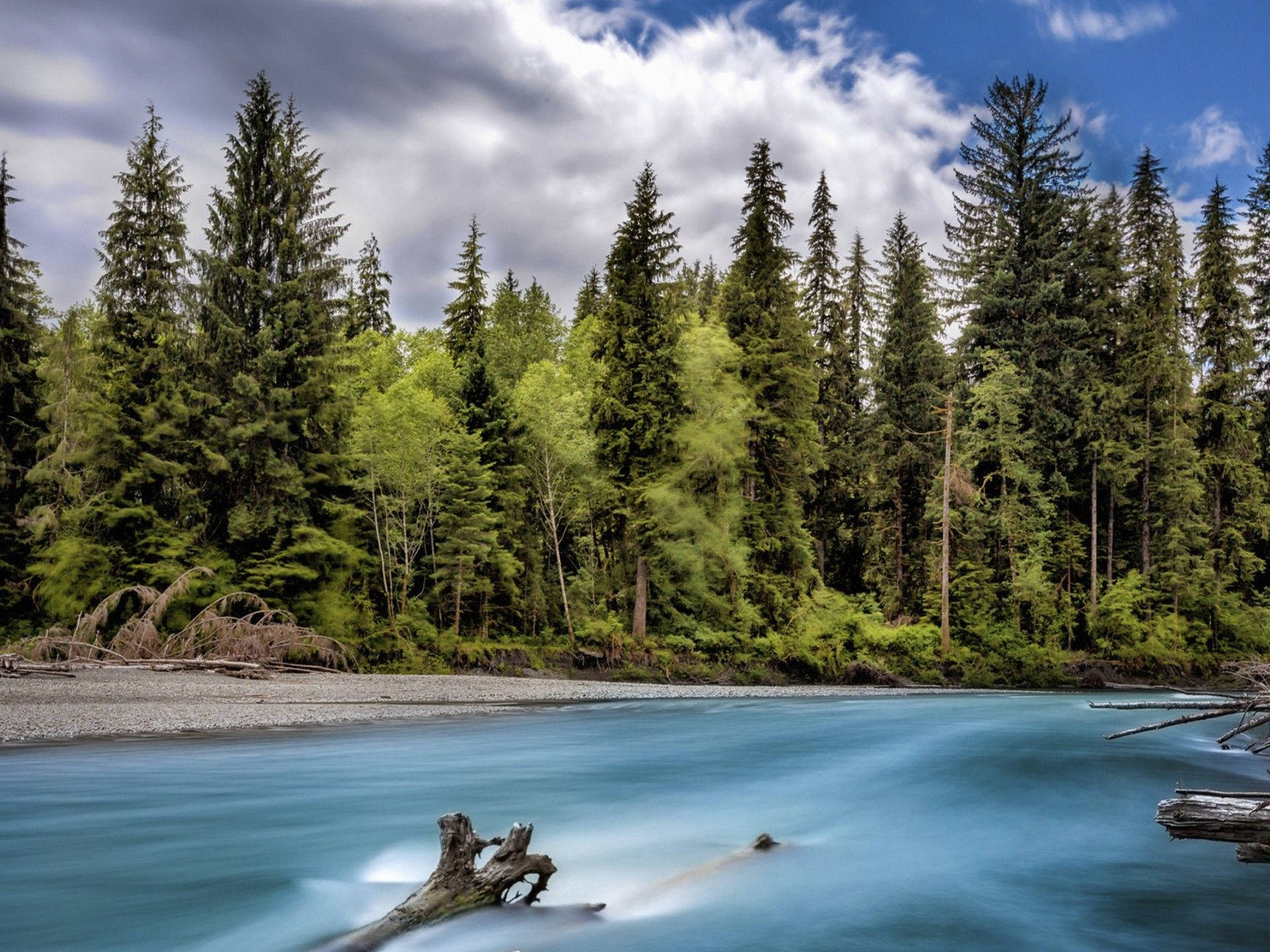 Forks Washington, Blue River, evergreens, Full HD Desktop Wallpaper