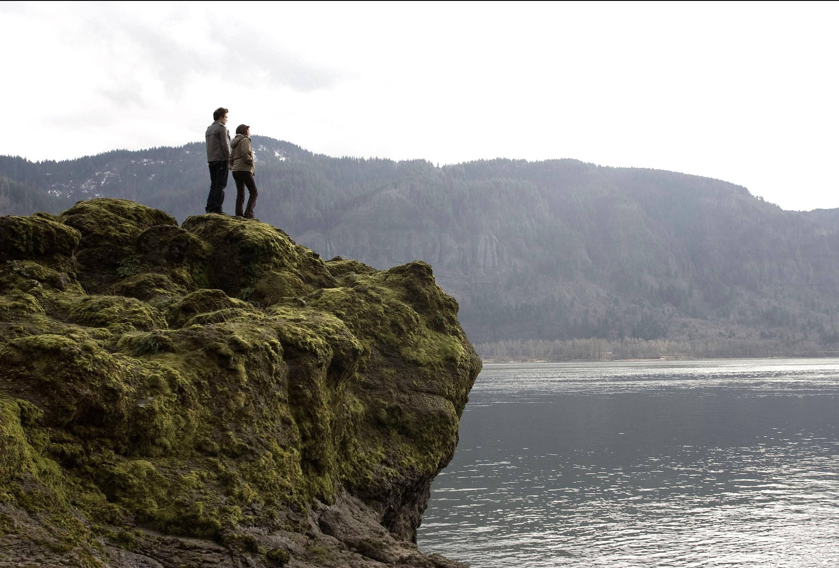 Forks Washington, cliff, mossy cliff, 2K Desktop Wallpaper