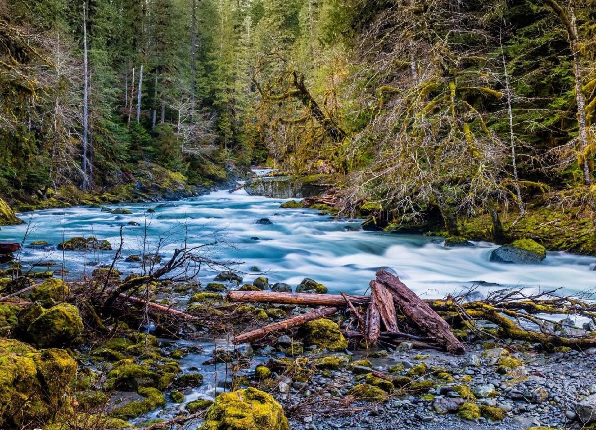 Forks Washington, forest, river, Full HD Desktop Wallpaper
