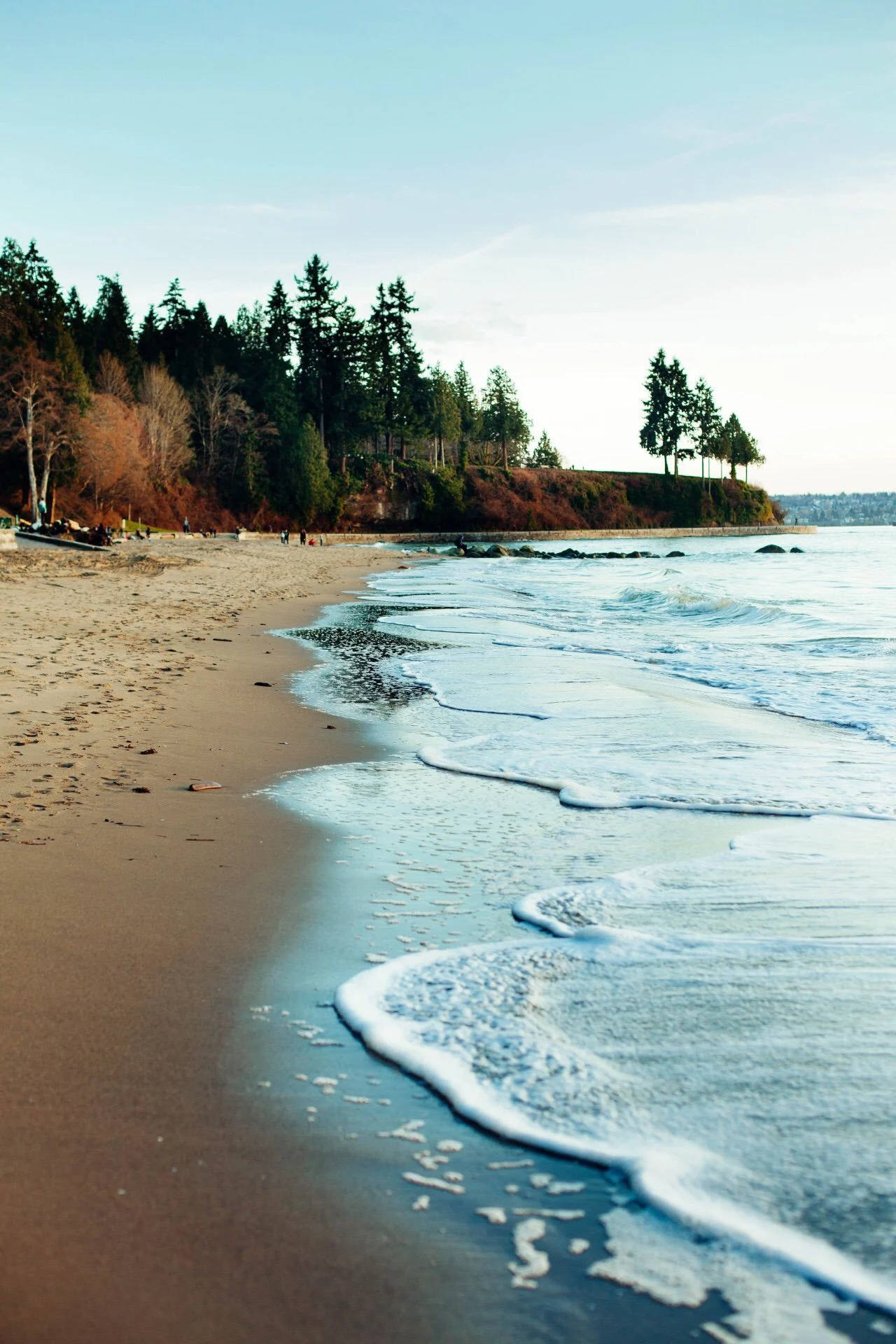 Forks Washington, beach, sandy beach, Full HD Phone Wallpaper