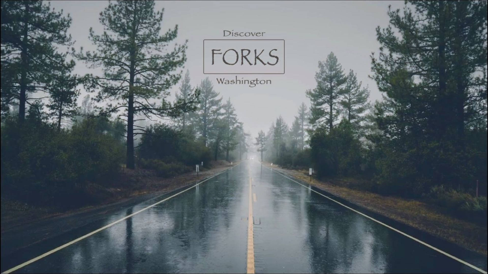 Forks Washington, road, misty rain-slicked, Full HD Desktop Wallpaper