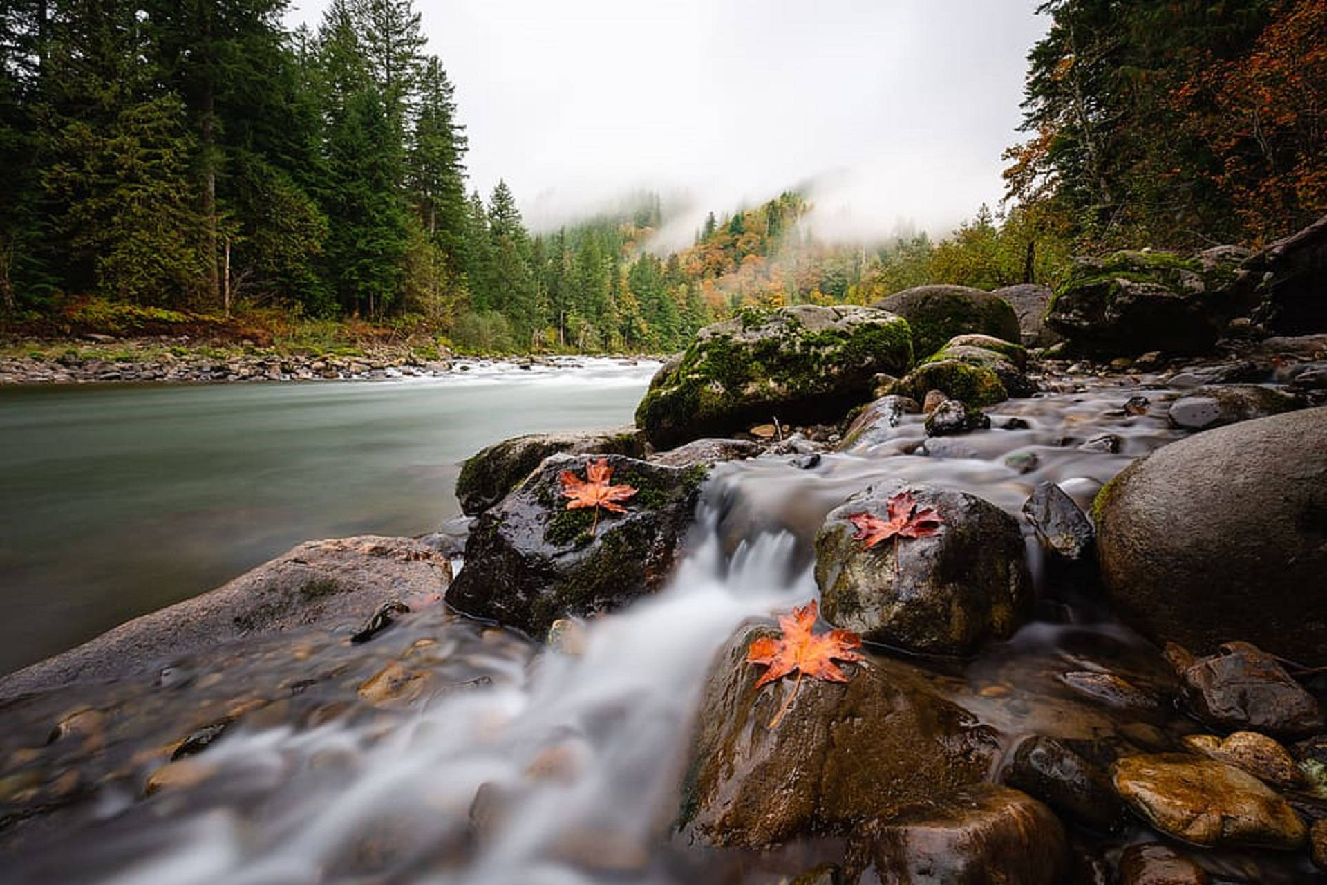 Forks Washington, river, mossy rocks, Full HD Desktop Wallpaper