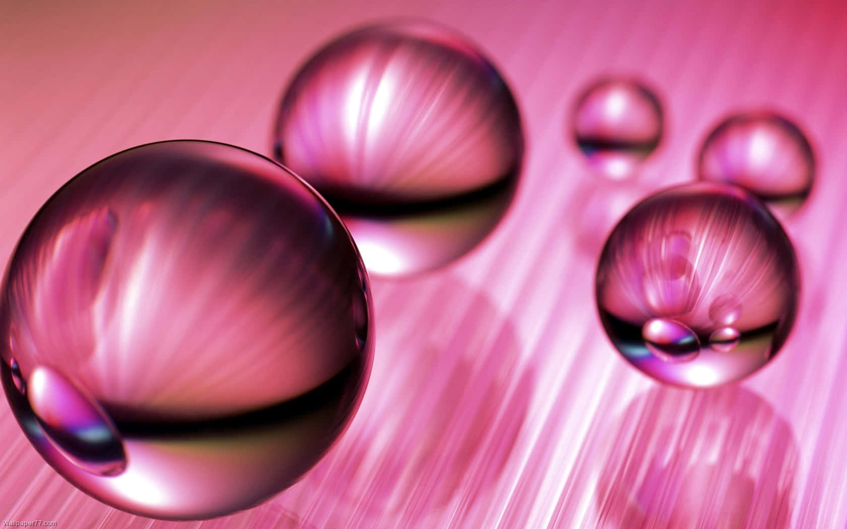 Formal, pink waterdrops, glossy, HD Desktop Wallpaper