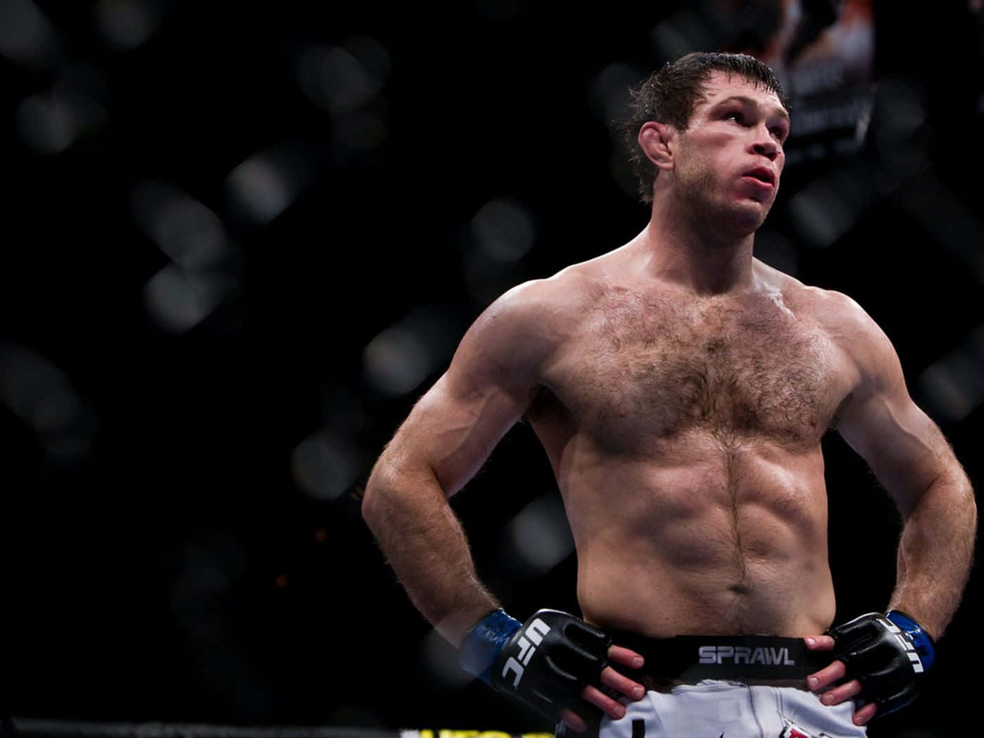 Forrest Griffin, octagon, arena lights, HD Desktop Wallpaper