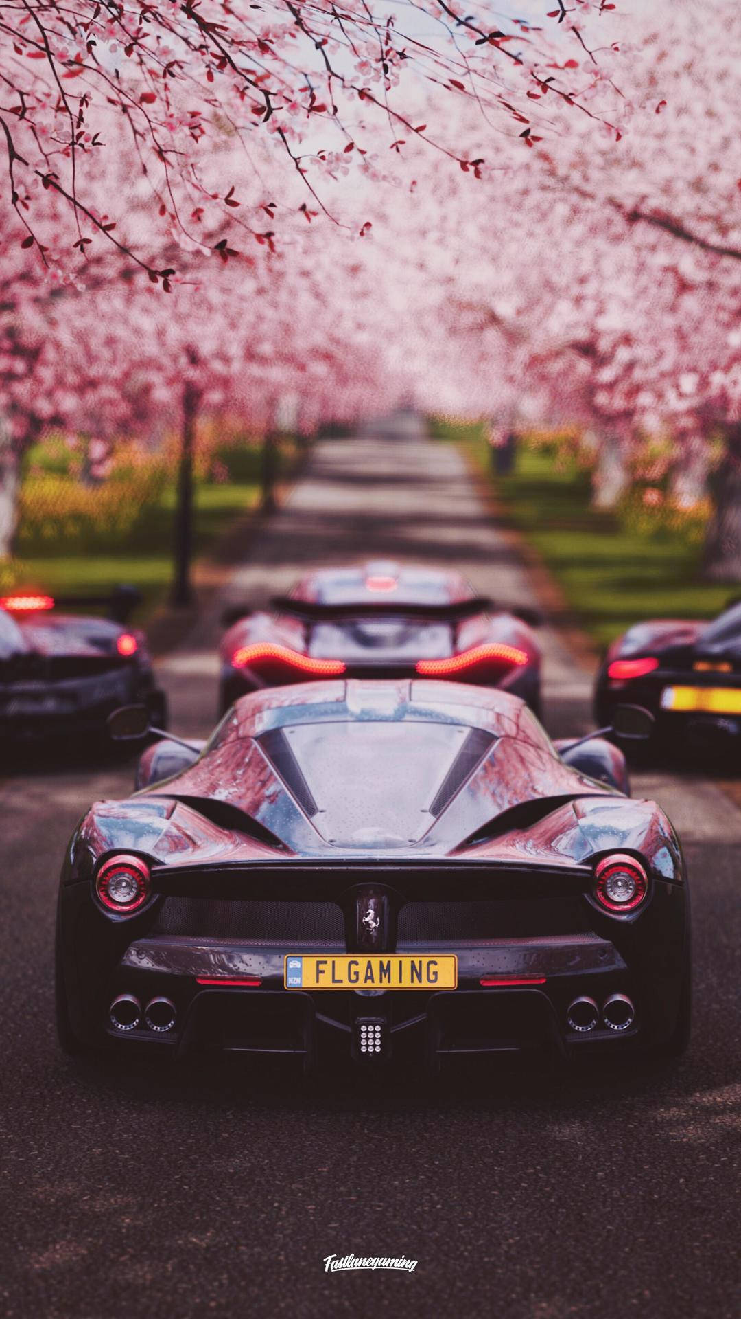 Forza, Cherry Blossoms, iPhone, Full HD Phone Wallpaper