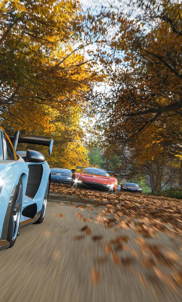 Forza, autumn forest, golden leaves, HD Phone Wallpaper
