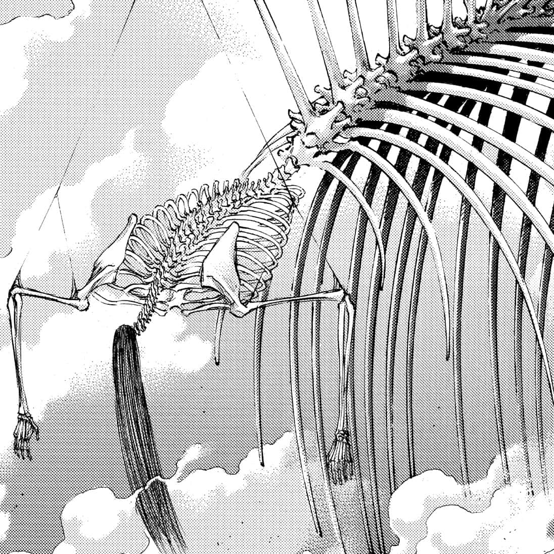 Founding Titan, giant bat skeleton, black and white illustration, SD Desktop Wallpaper