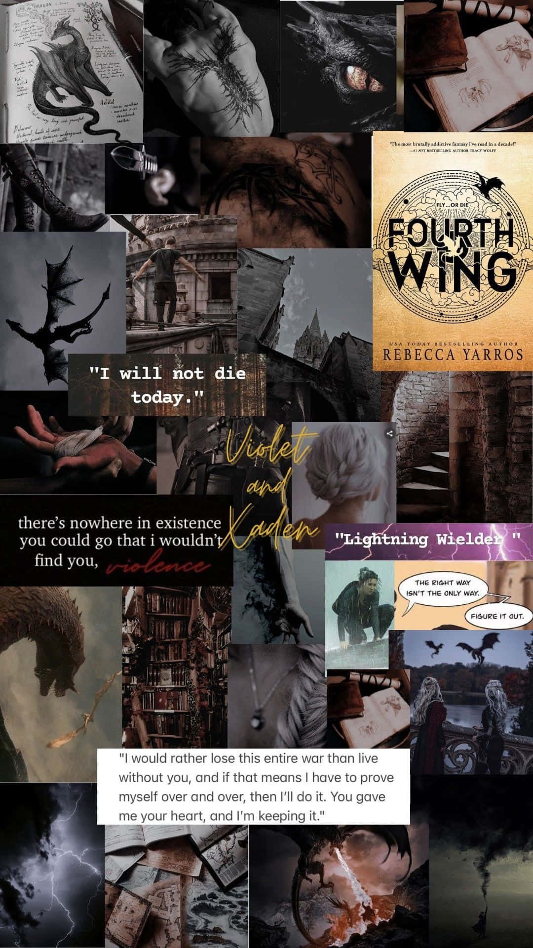 Fourth Wing Aesthetic, dragon imagery, book covers, Full HD Phone Wallpaper